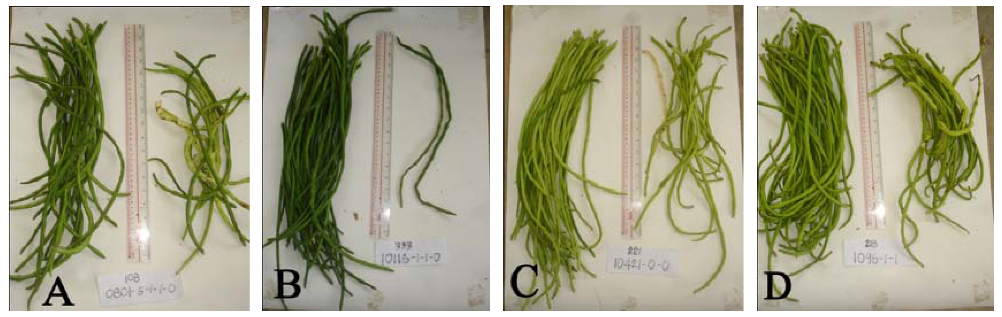 Horticulturae 03 00004 g001