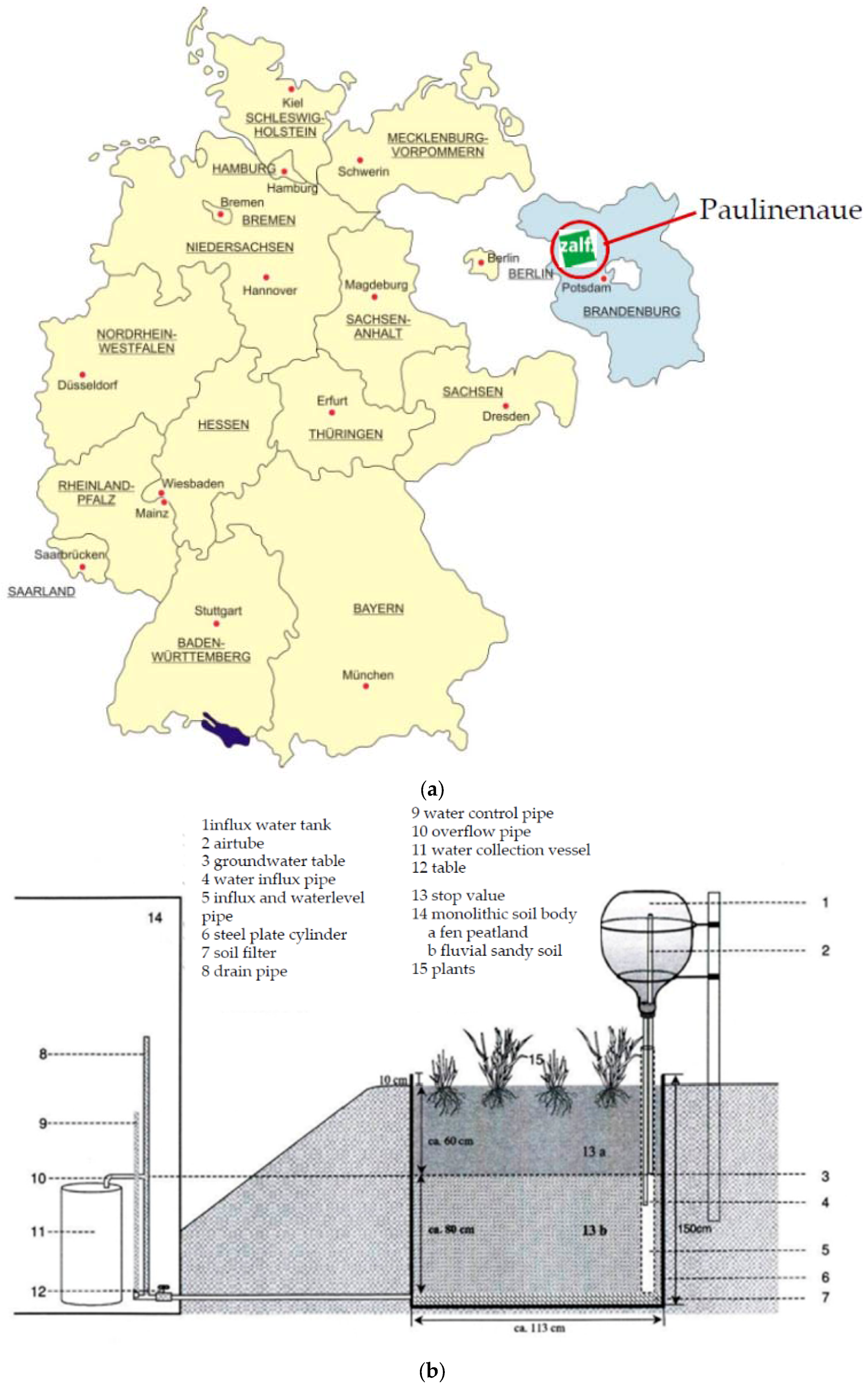 Horticulturae 03 00008 g001 550