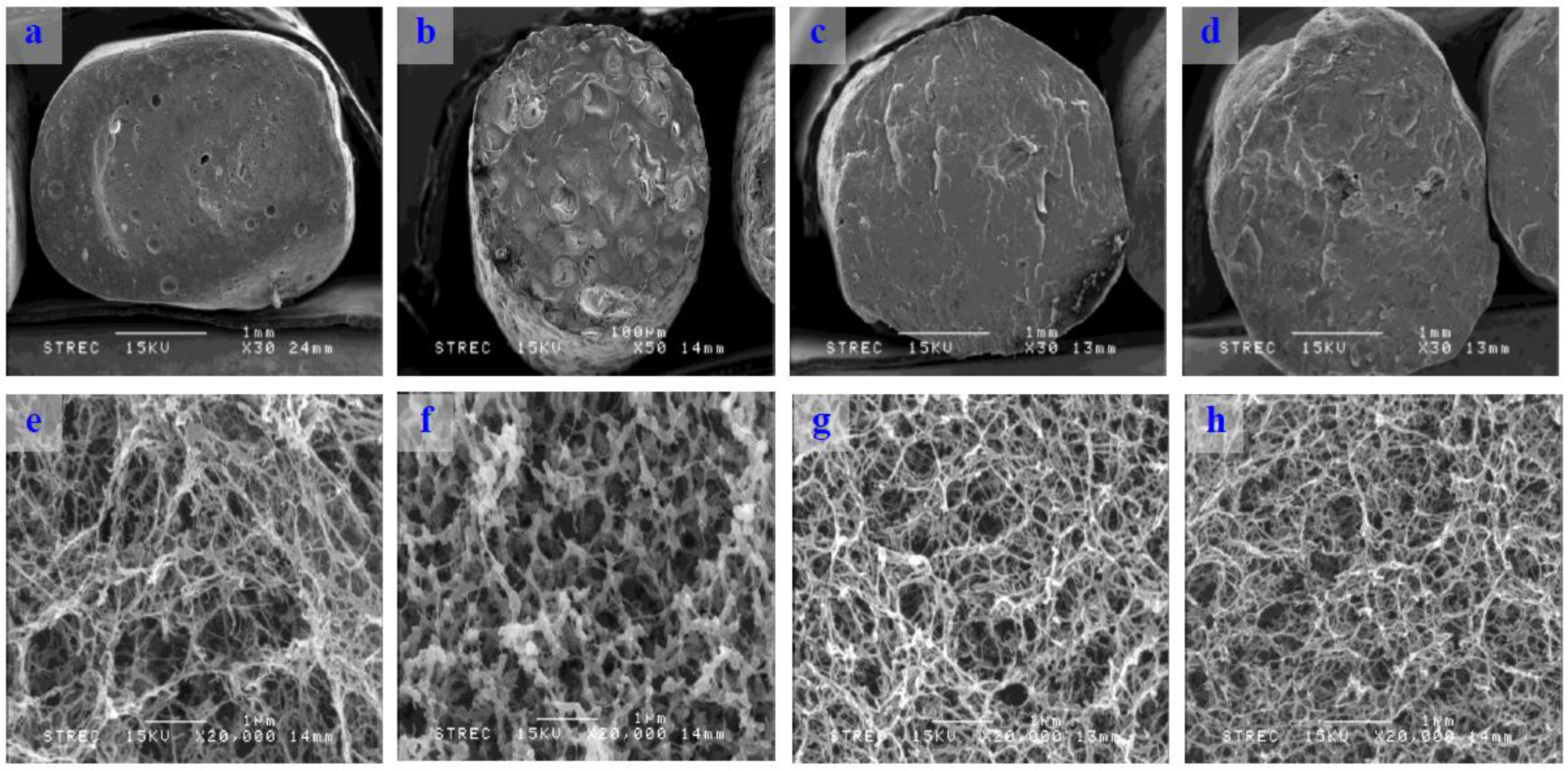 Horticulturae 03 00020 g002