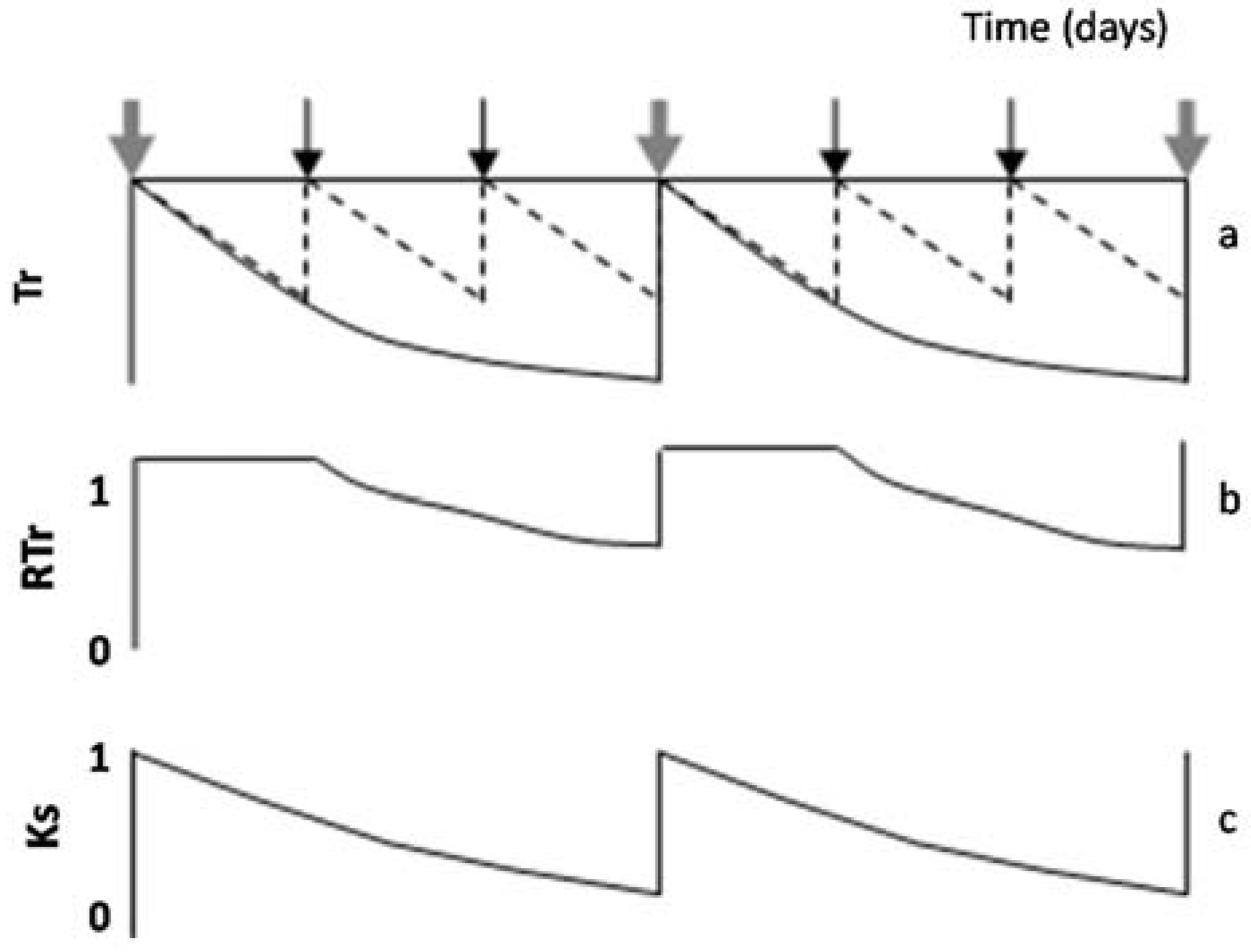 Horticulturae 03 00038 g004 550