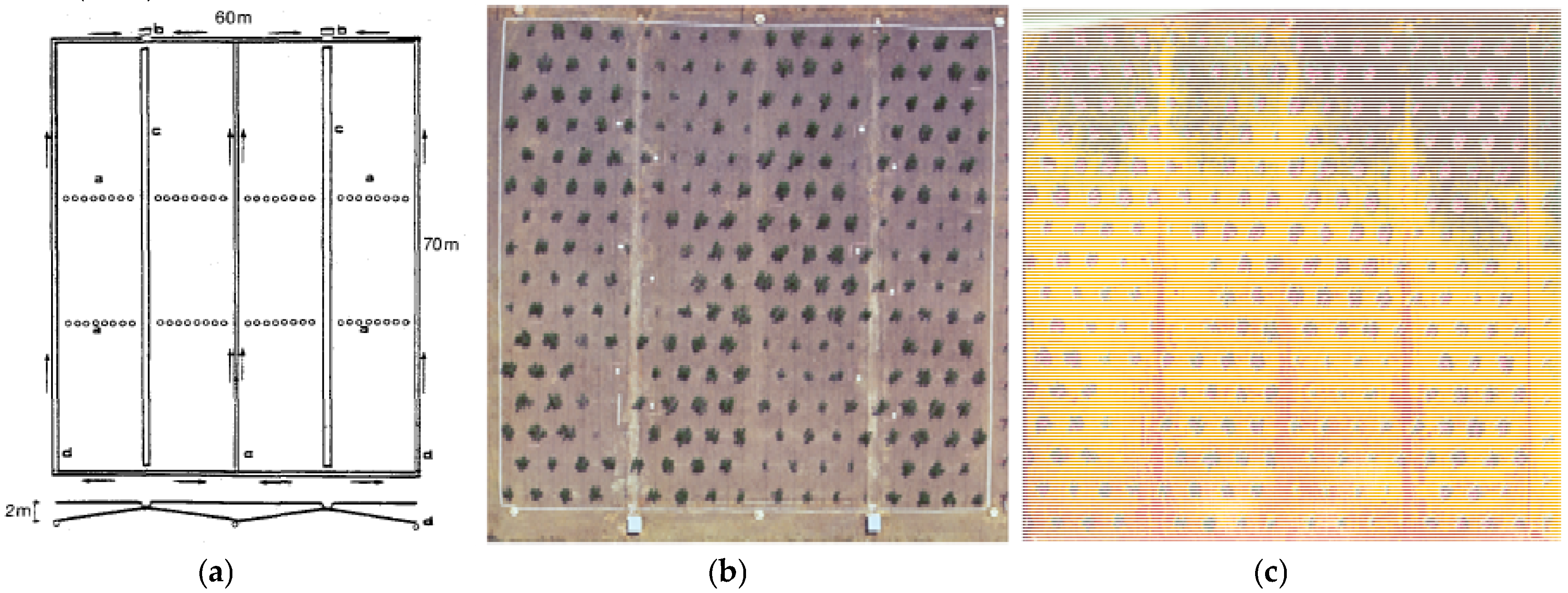 Horticulturae 03 00040 g001 550
