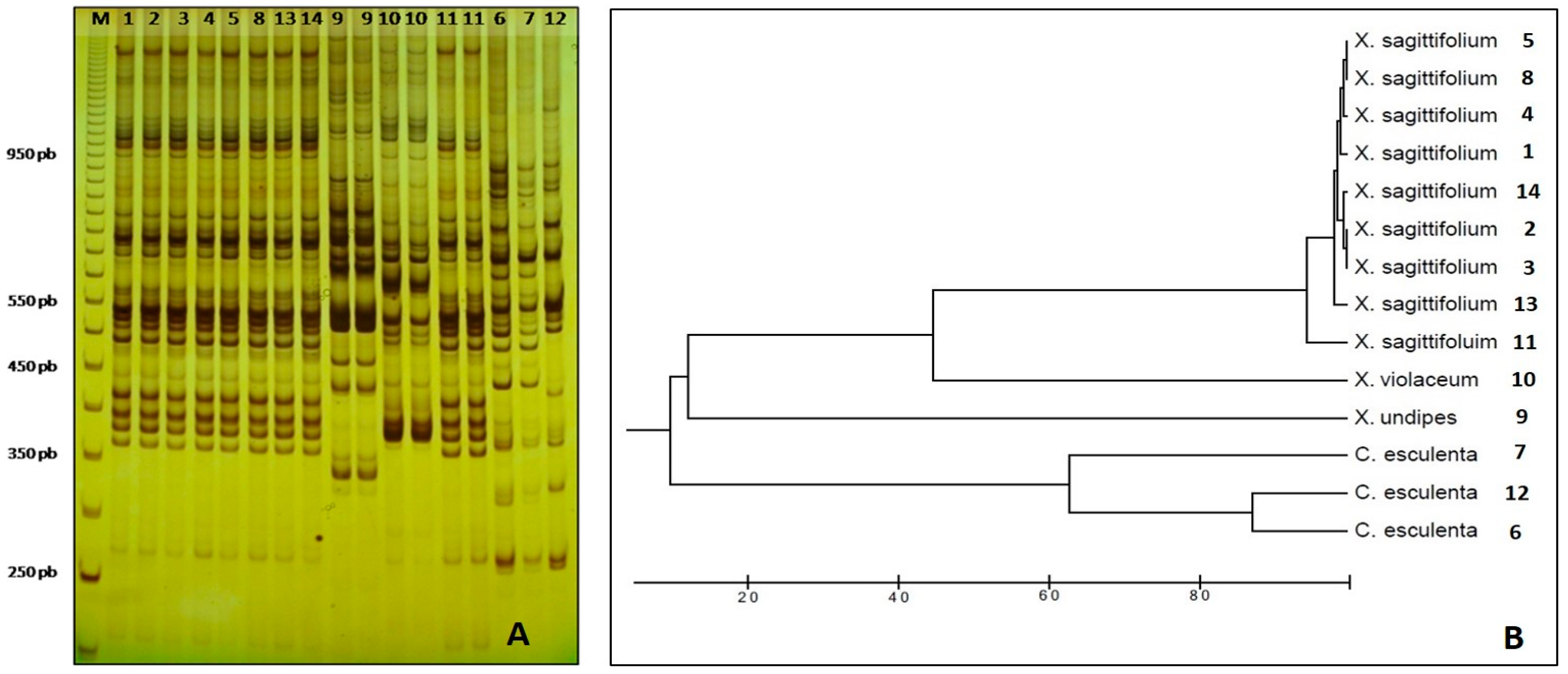 Horticulturae 03 00049 g004 Horticulturae 03 00049 g004