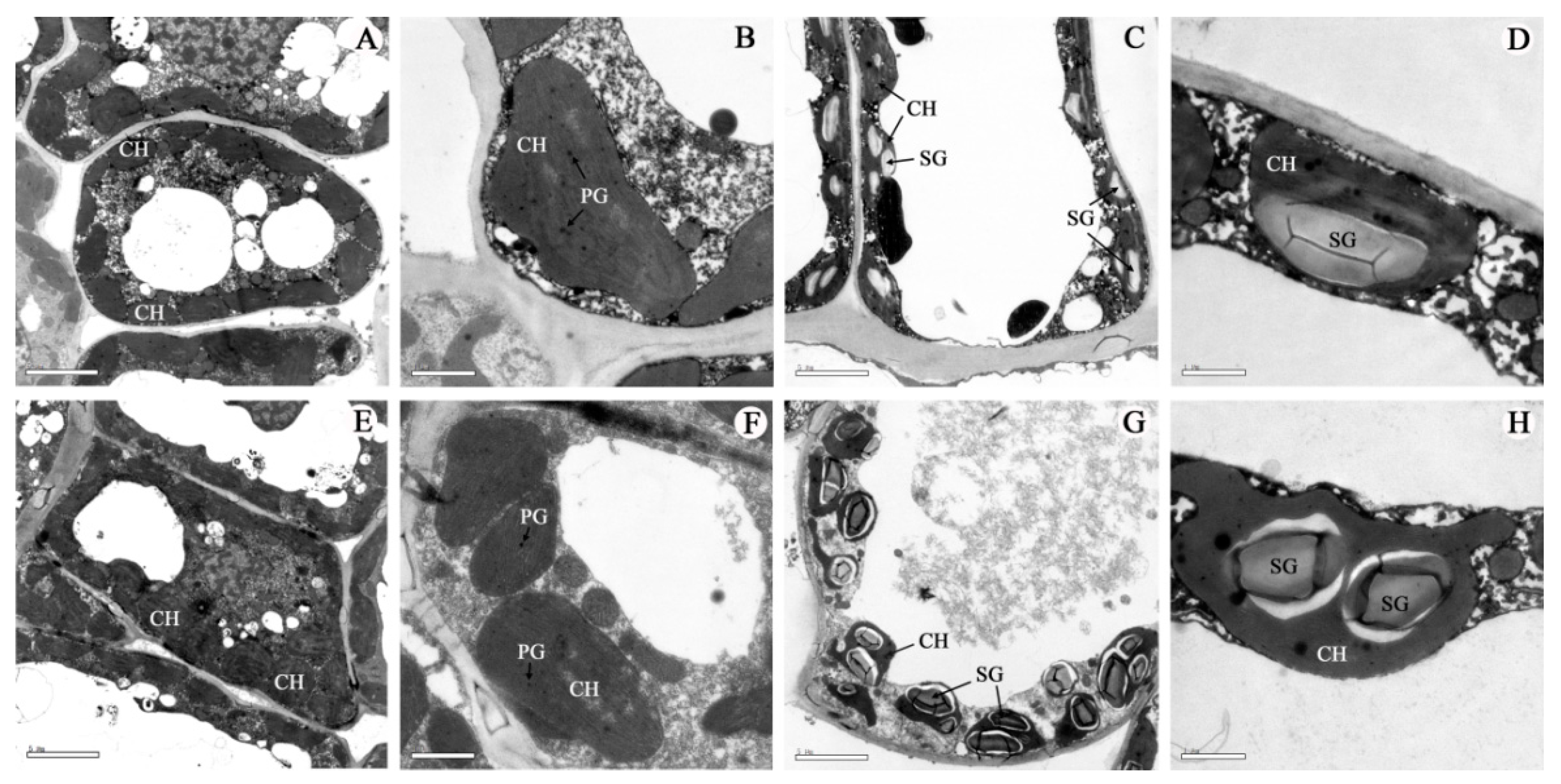Horticulturae 04 00005 g003