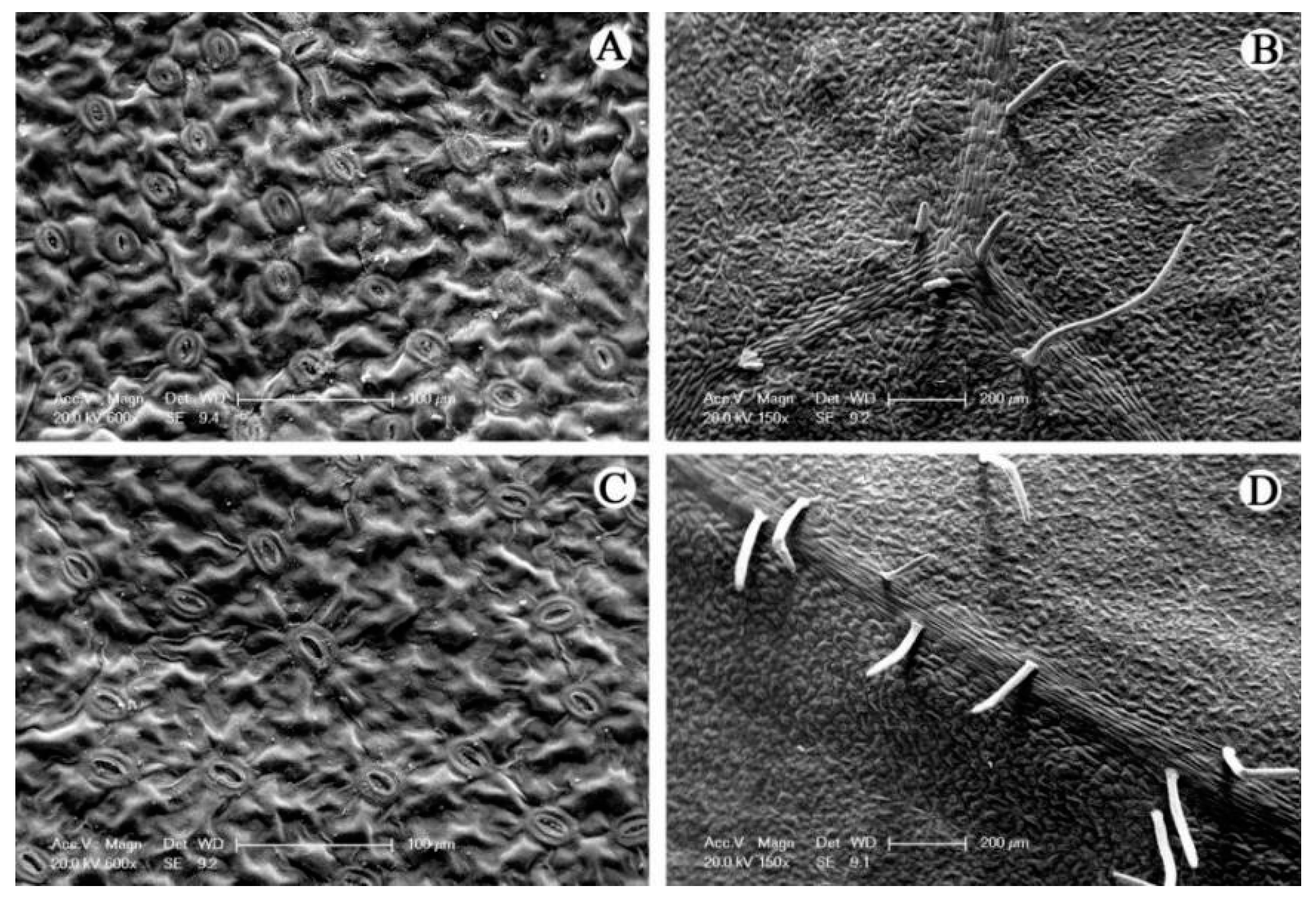 Horticulturae 04 00005 g004