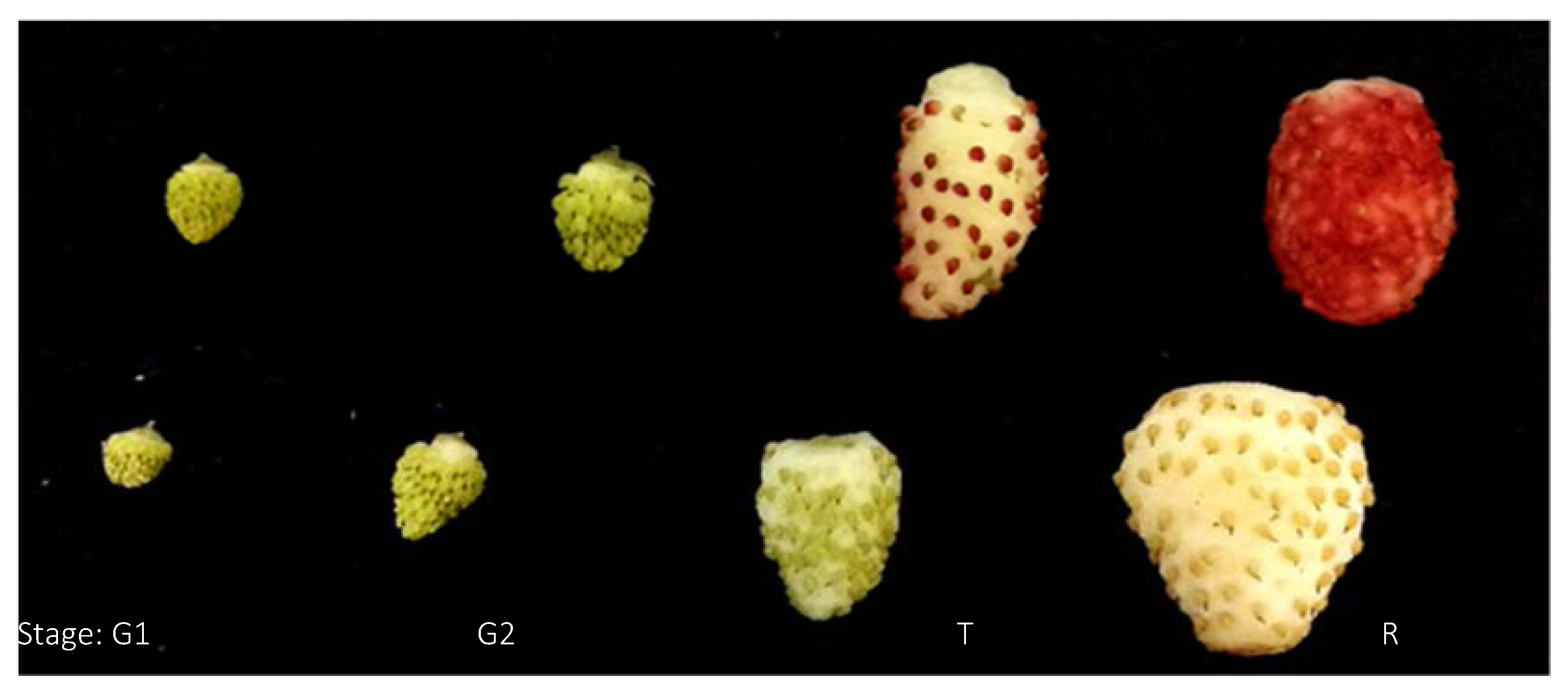 Horticulturae 04 00030 g001 Horticulturae 04 00030 g001