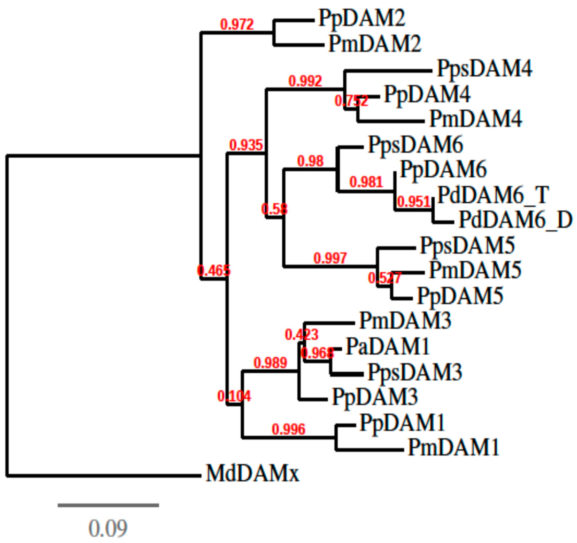 Horticulturae 04 00041 g003