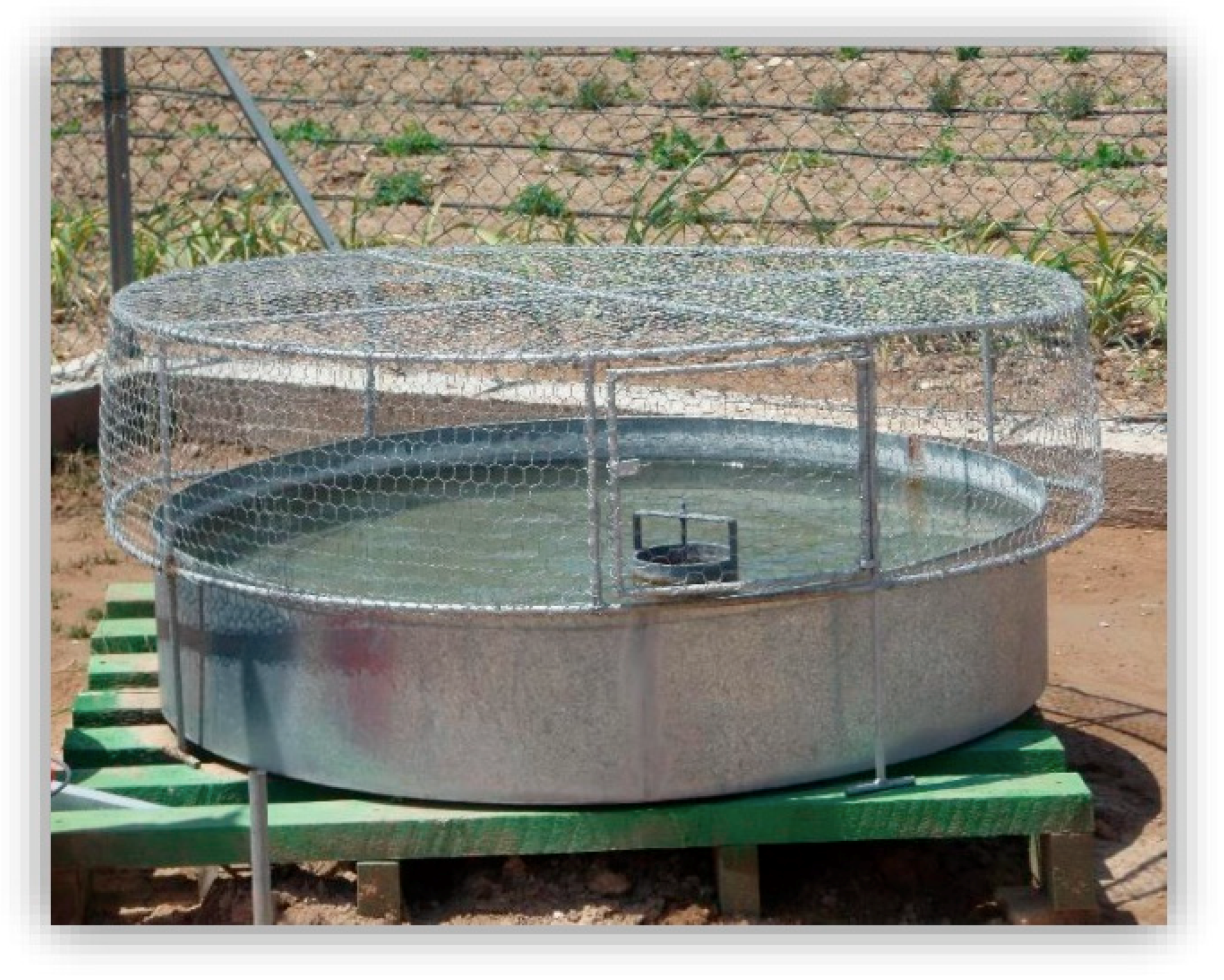 Horticulturae 05 00007 g002