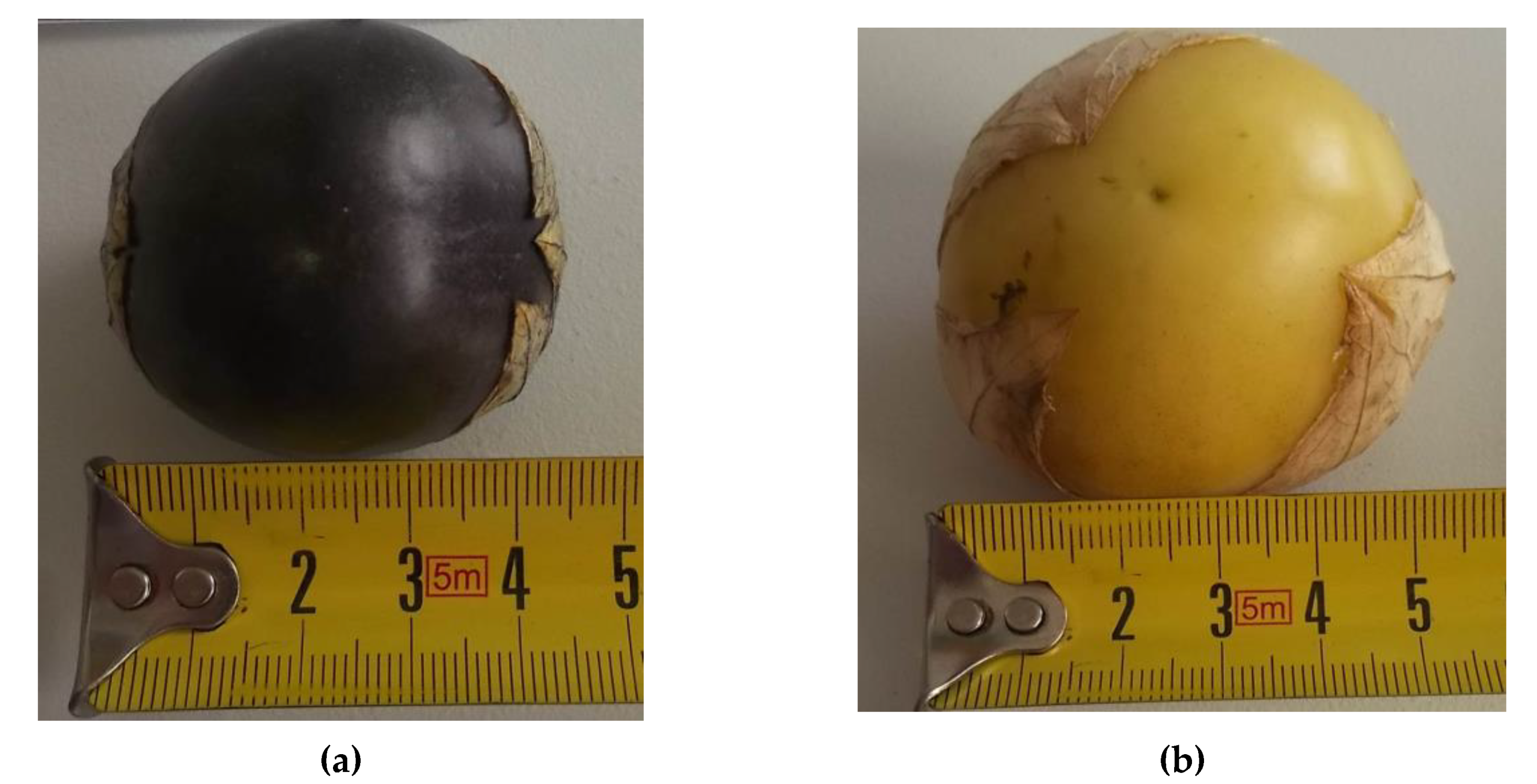 Horticulturae 05 00019 g002