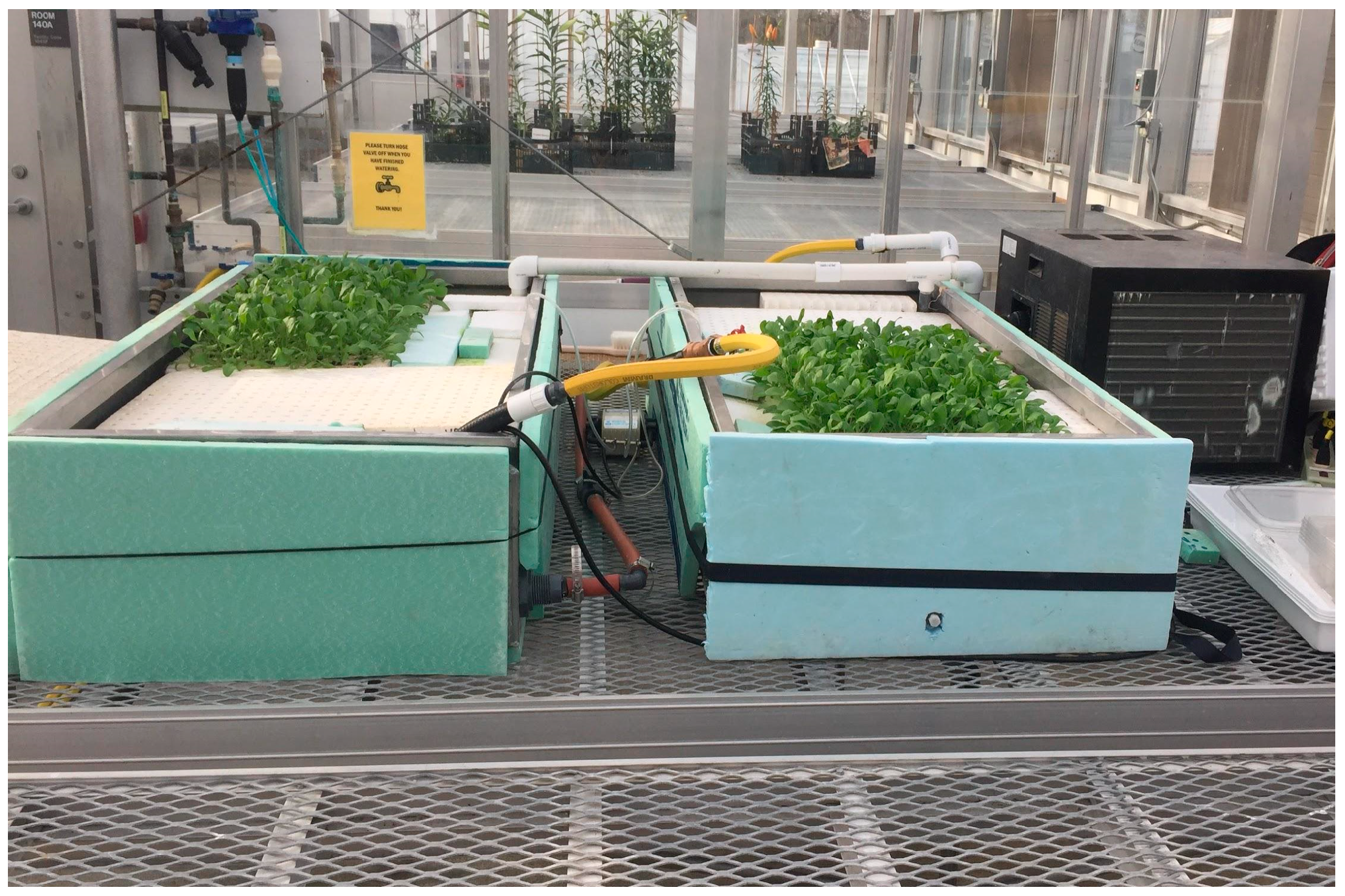 Horticulturae 05 00020 g002