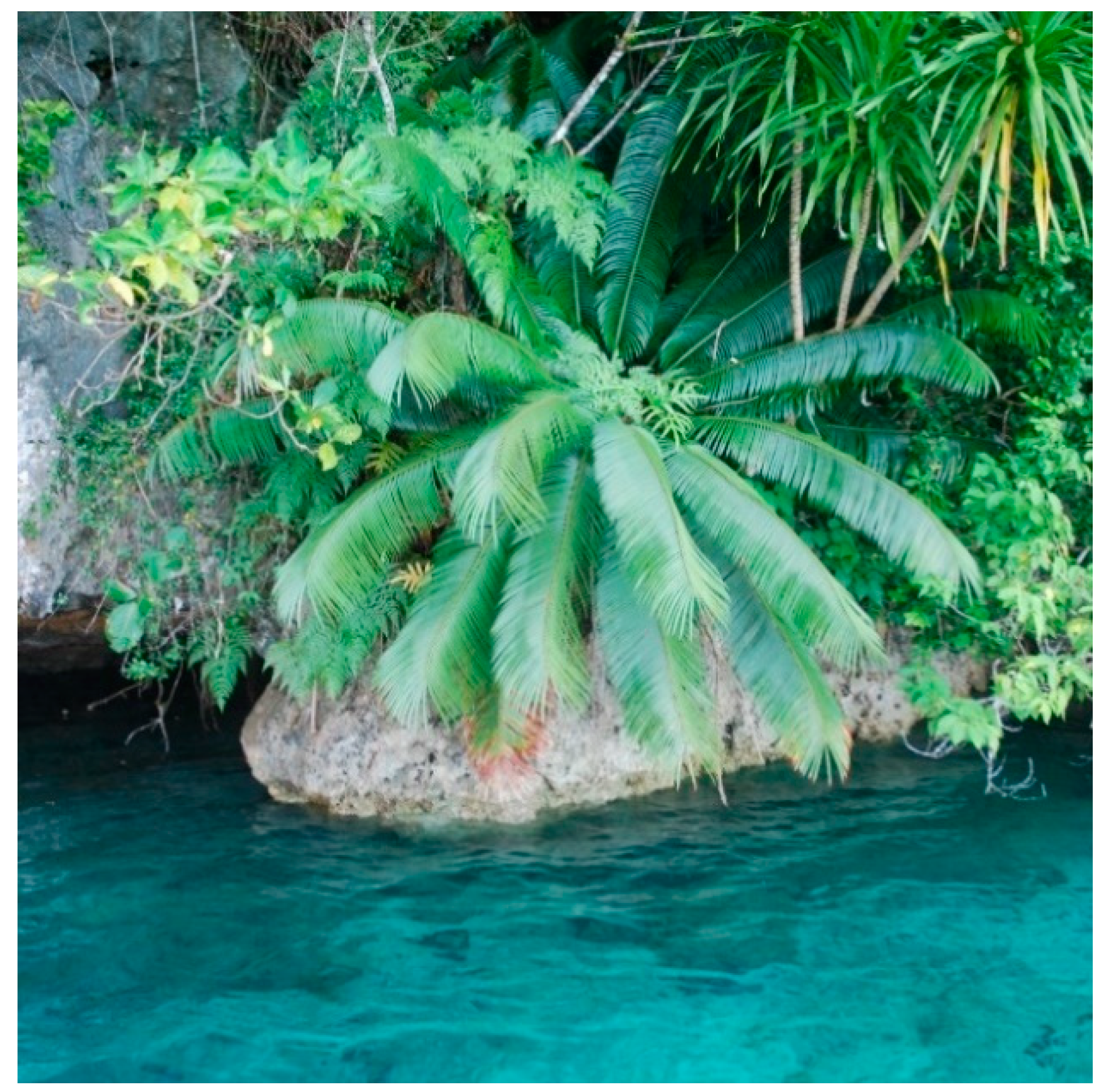 Horticulturae 05 00033 g001