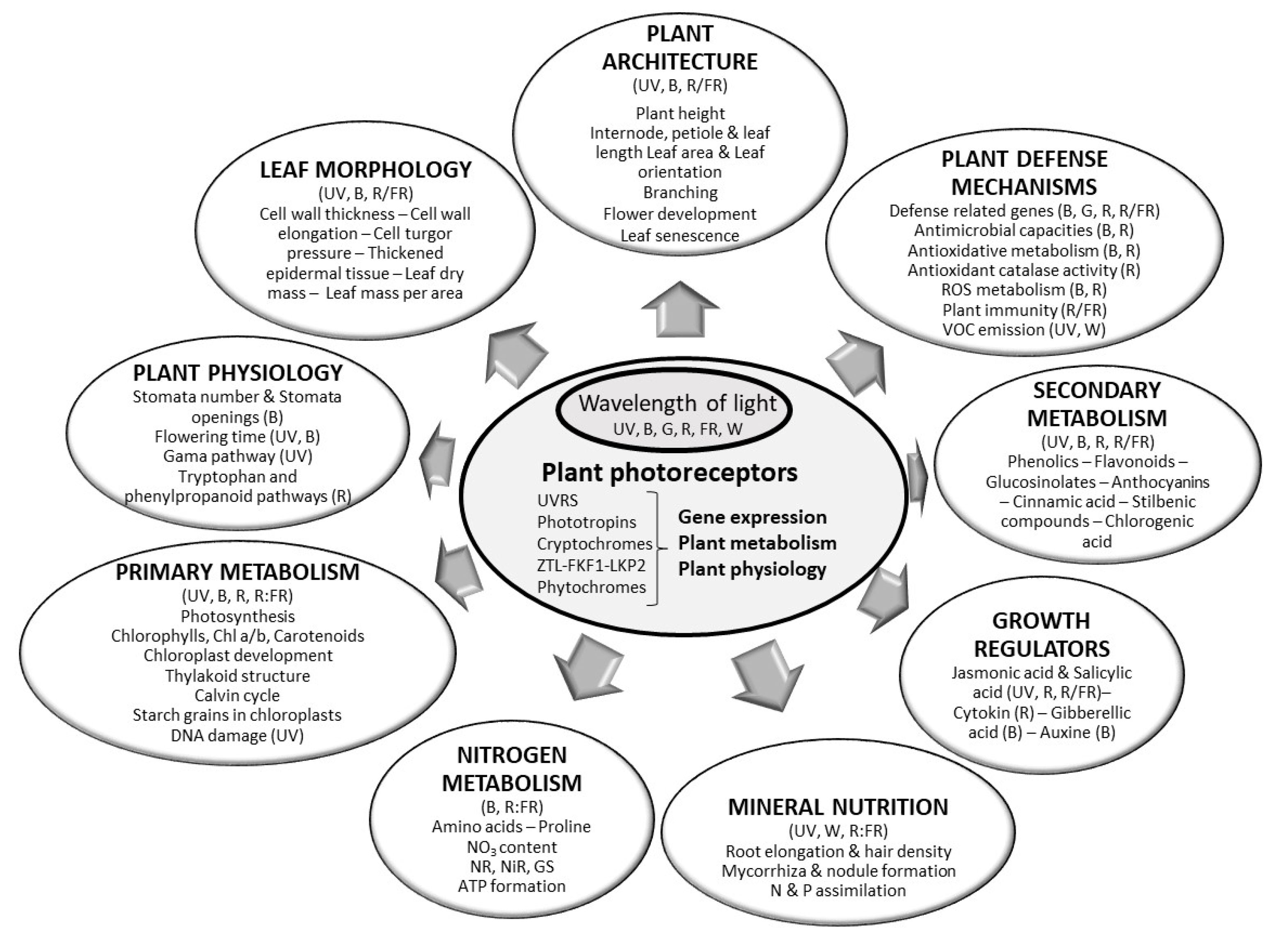 Horticulturae Free Full Text Light And Microbial Lifestyle The Impact Of Light Quality On Plant Microbe Interactions In Horticultural Production Systems A Review Html