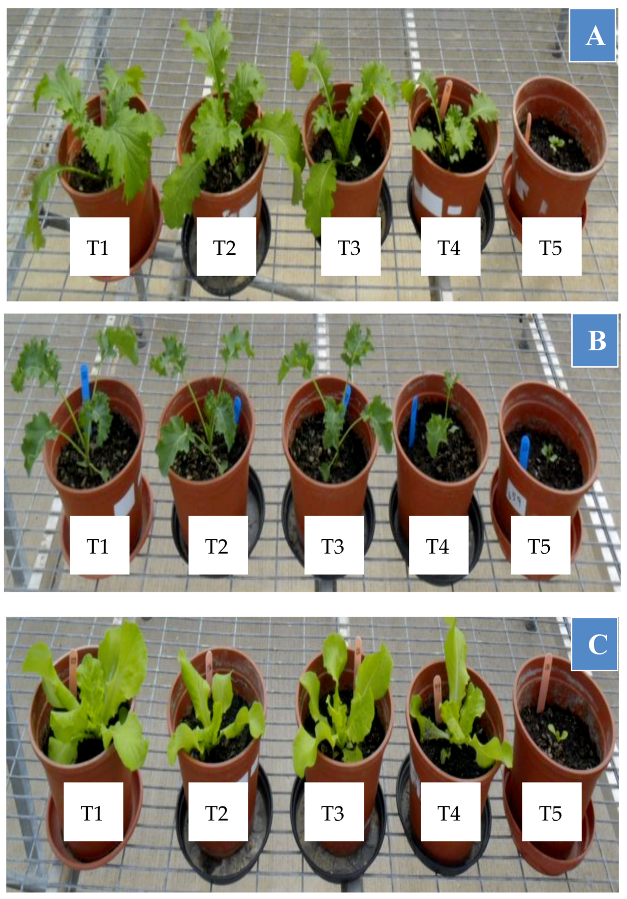 Horticulturae 05 00047 g003 Horticulturae 05 00047 g003