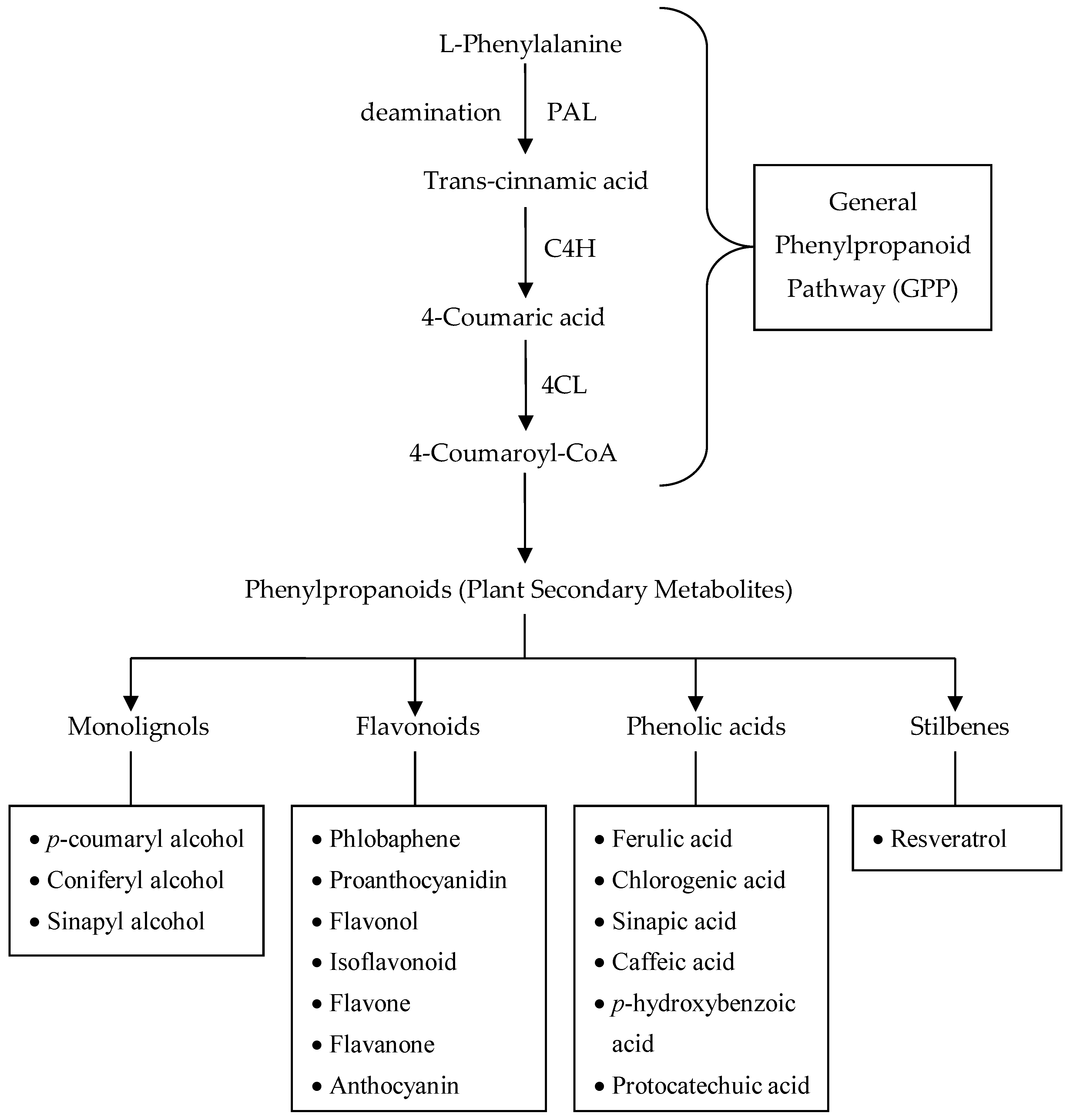 Horticulturae 05 00047 g009 Horticulturae 05 00047 g009