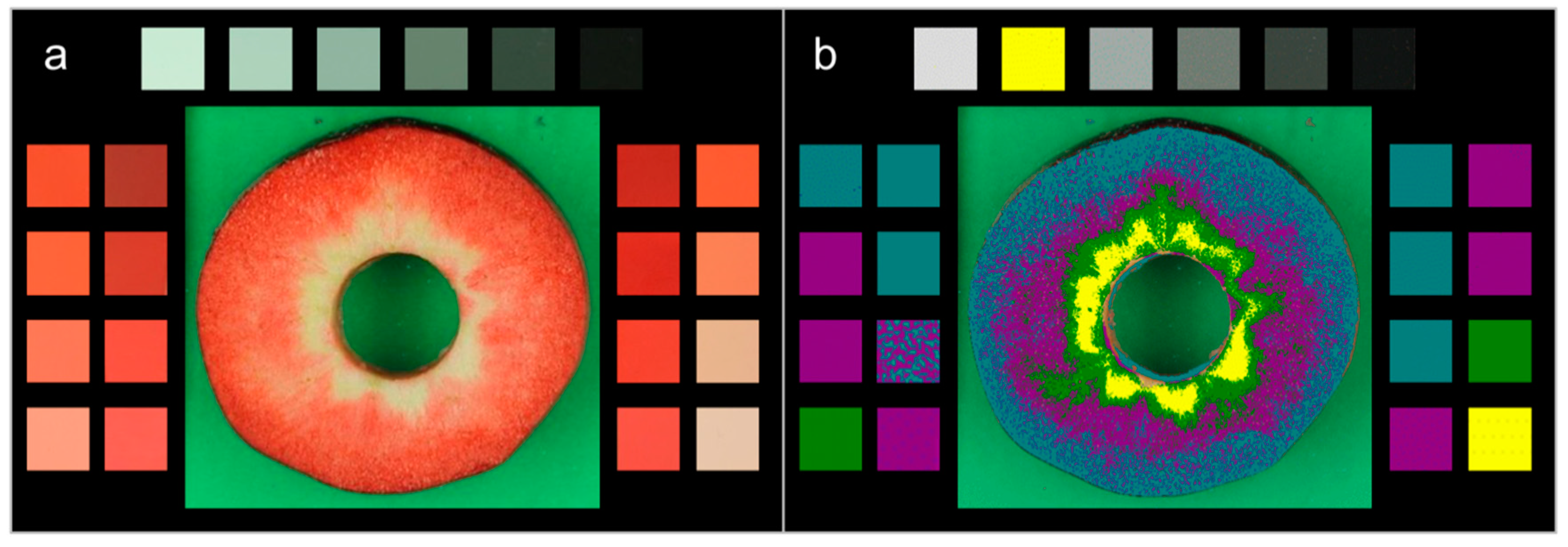 Royal Horticultural Society Color Chart