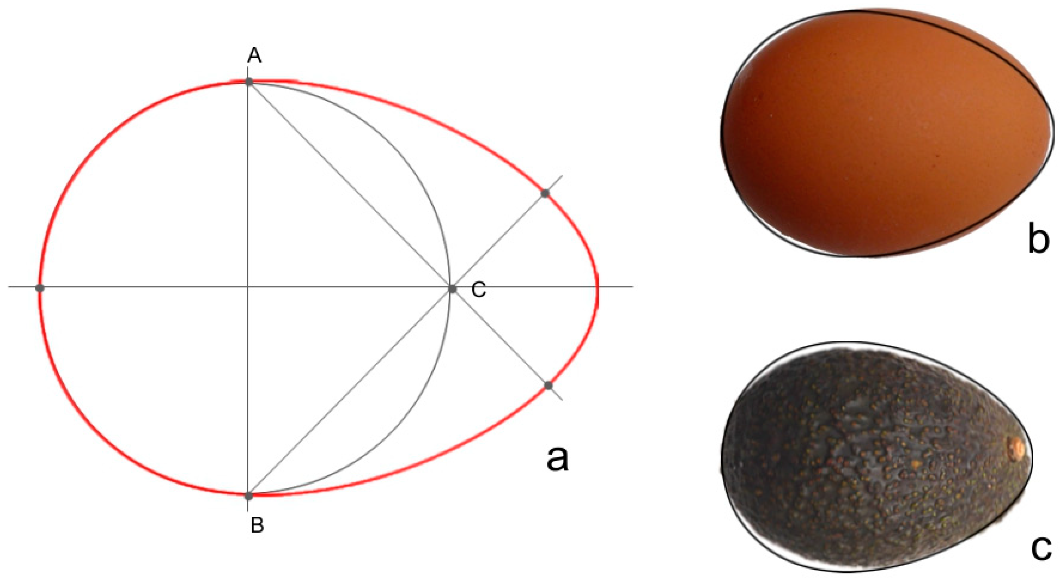 Horticulturae 05 00060 g004