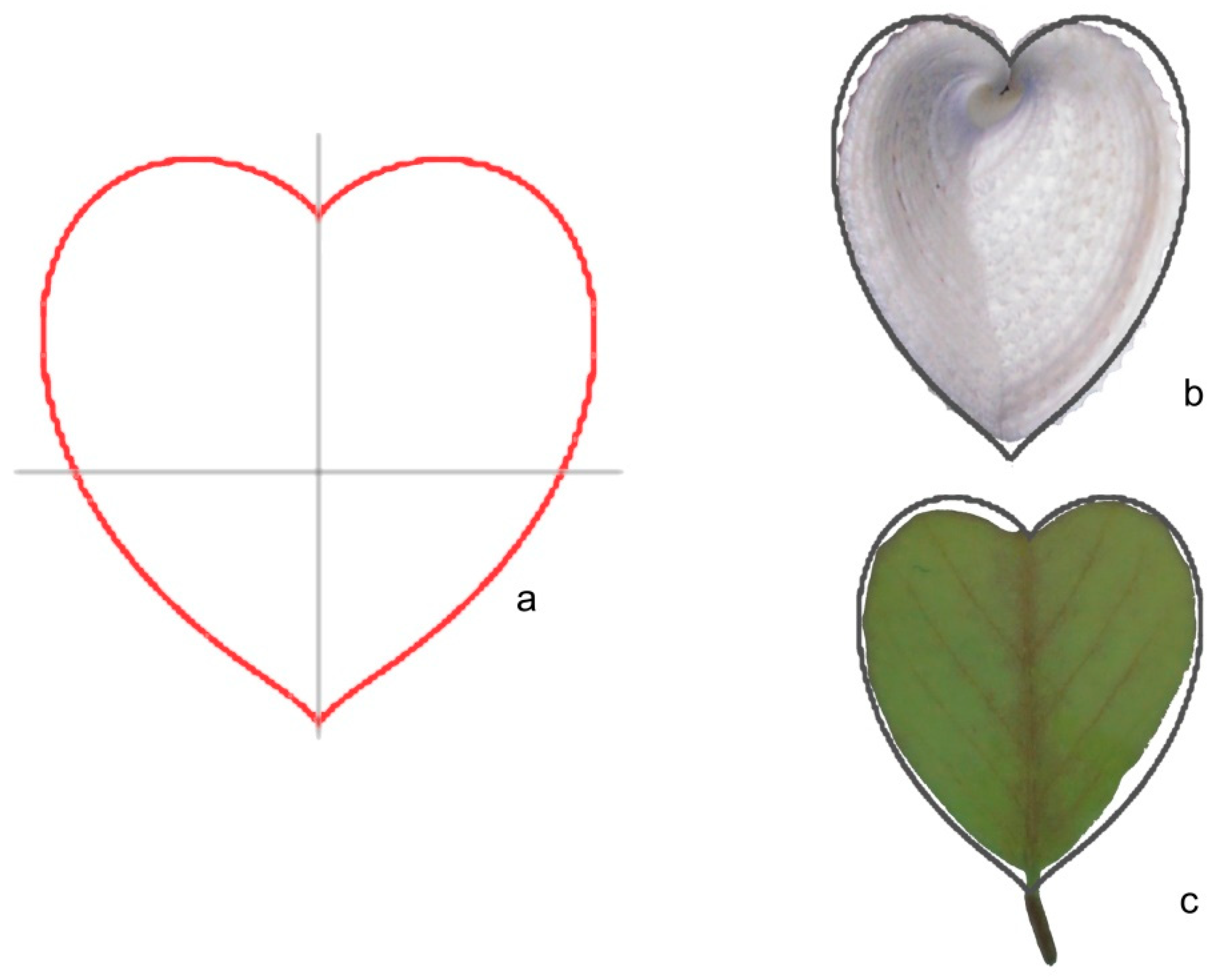 Horticulturae 05 00060 g006