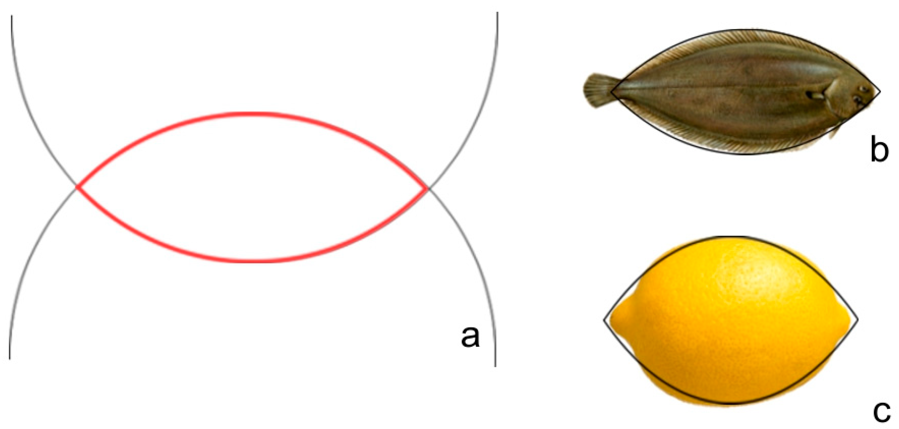 Horticulturae 05 00060 g007
