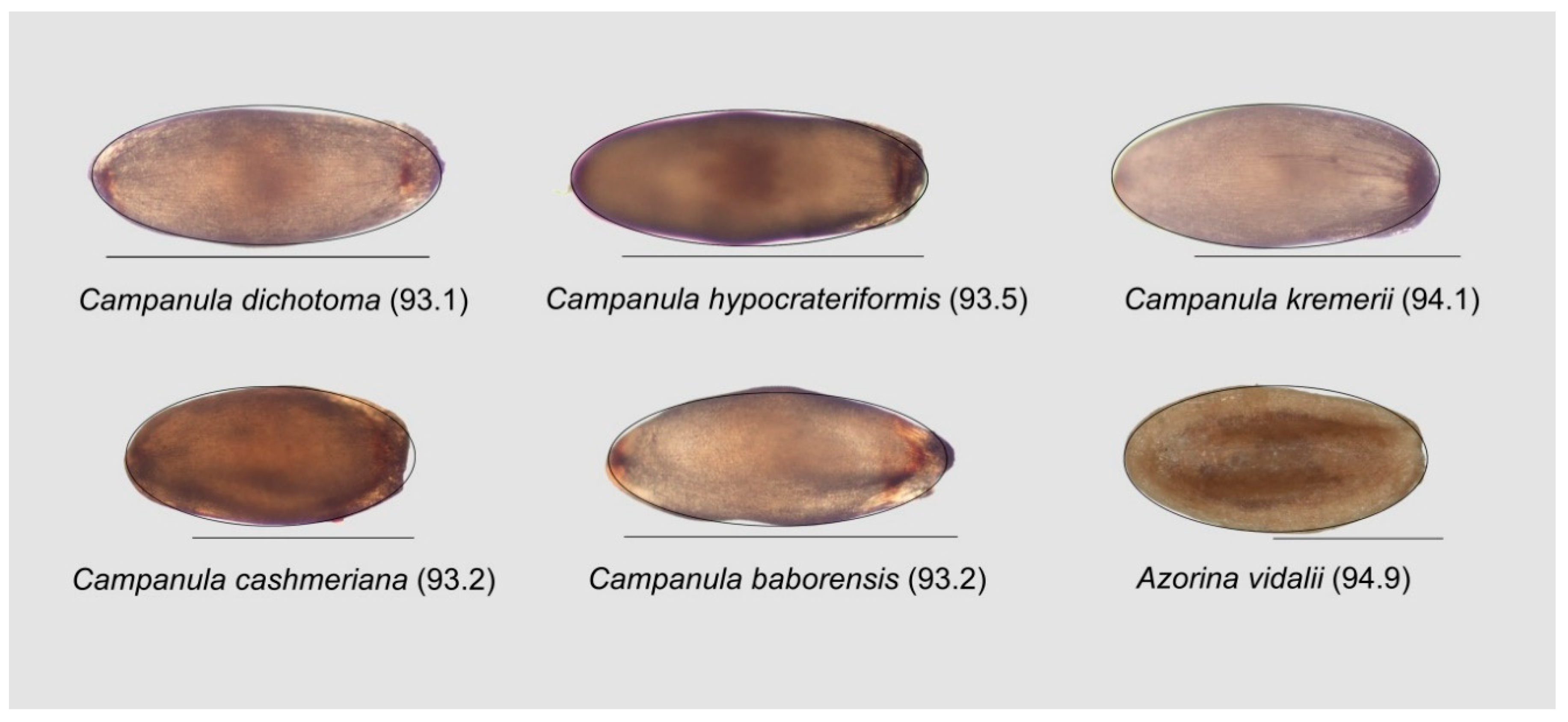 Horticulturae 05 00060 g015