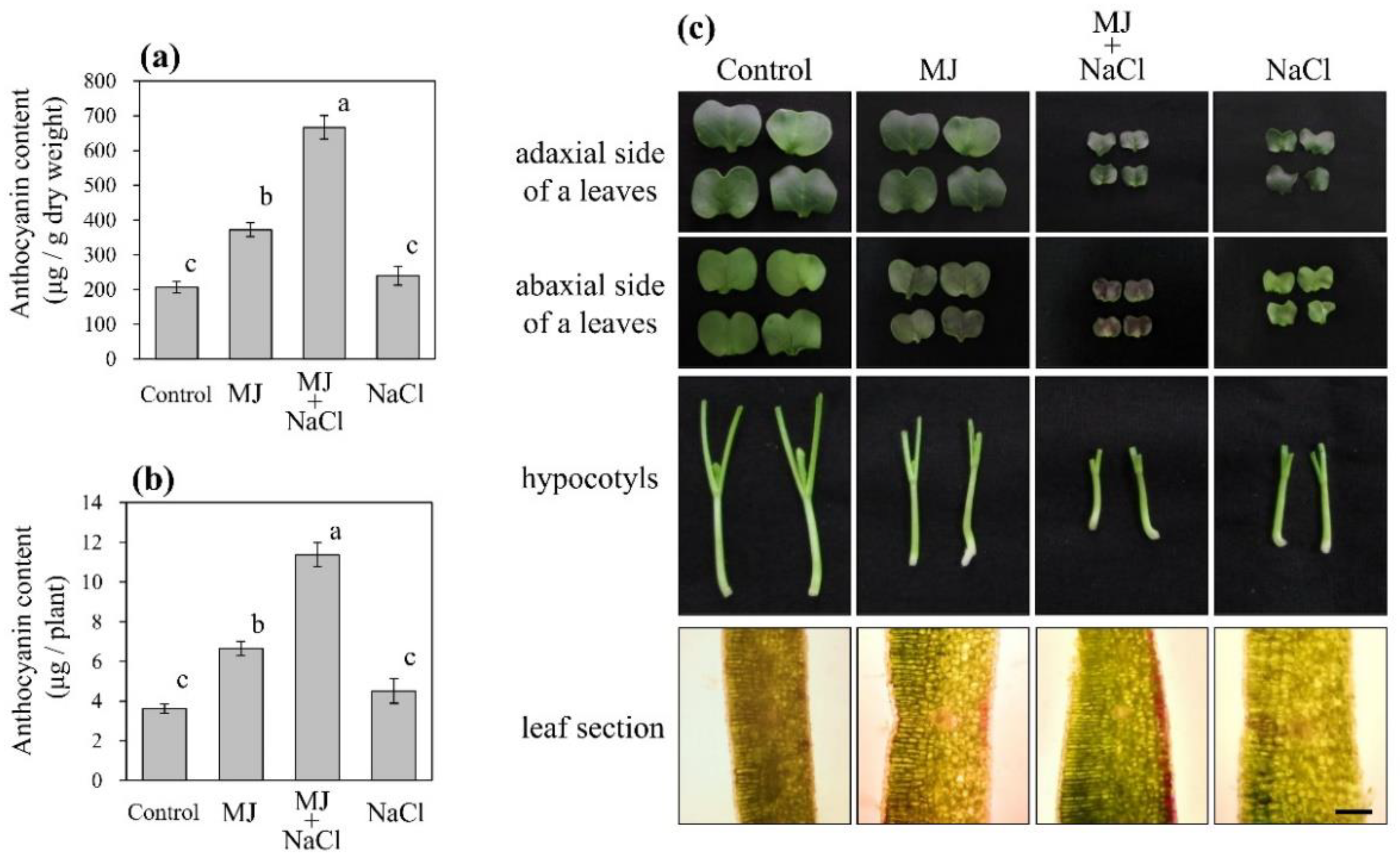 Horticulturae 05 00062 g001 Horticulturae 05 00062 g001
