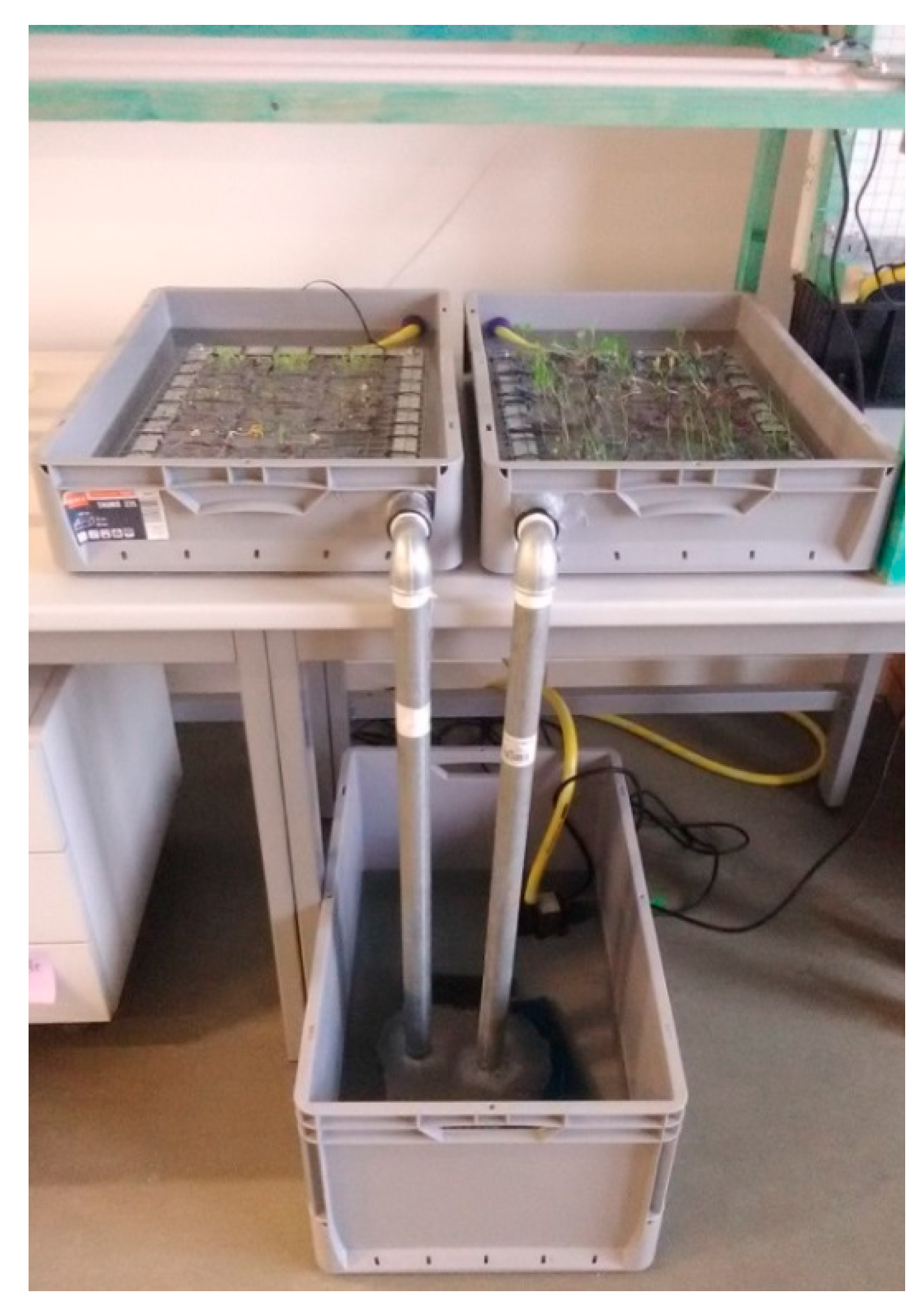 Horticulturae 05 00073 g001