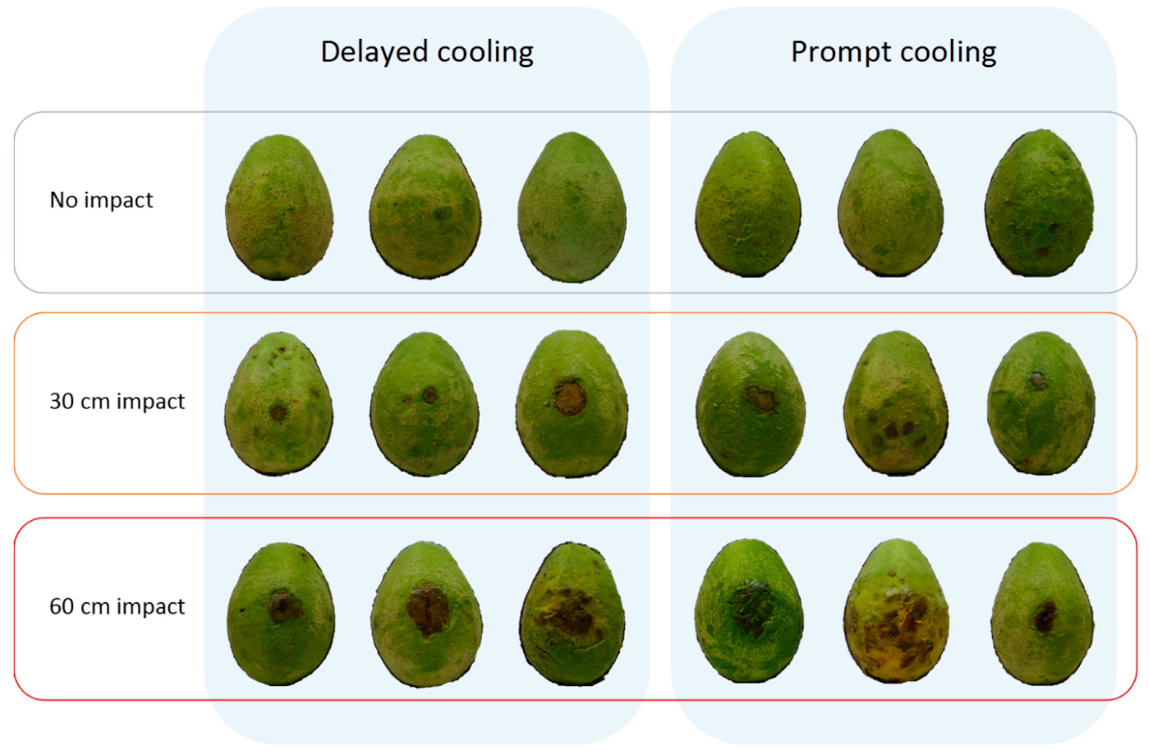 Horticulturae 06 00011 g007