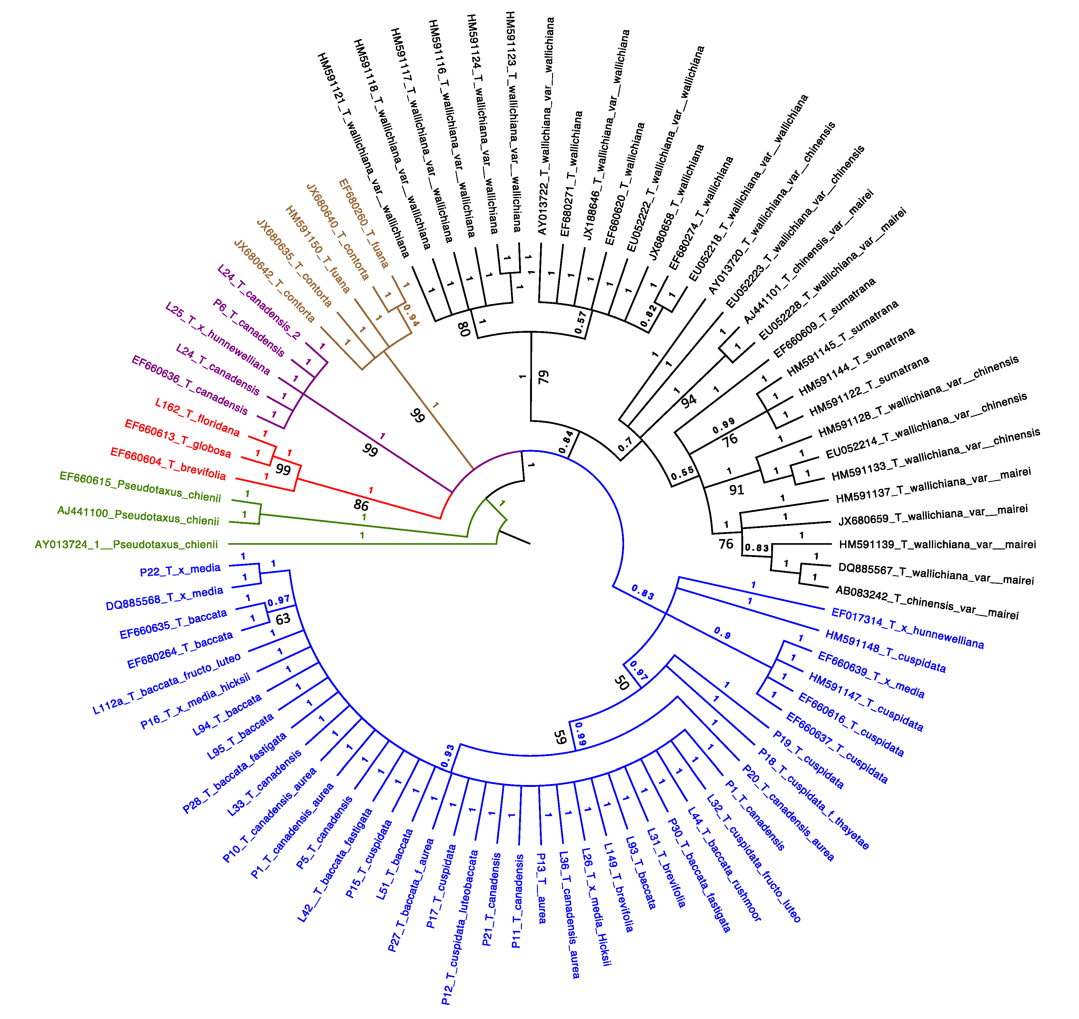 Horticulturae 06 00019 g003 Horticulturae 06 00019 g003