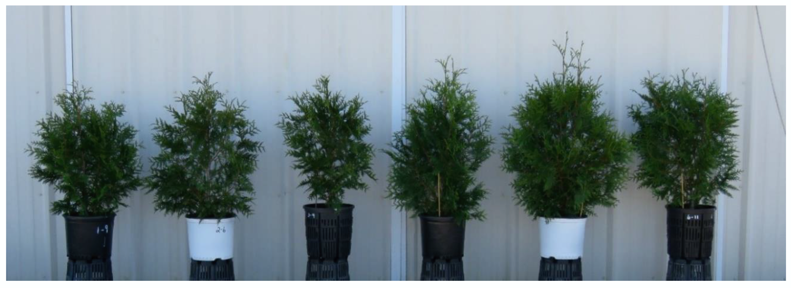 Horticulturae 06 00022 g001