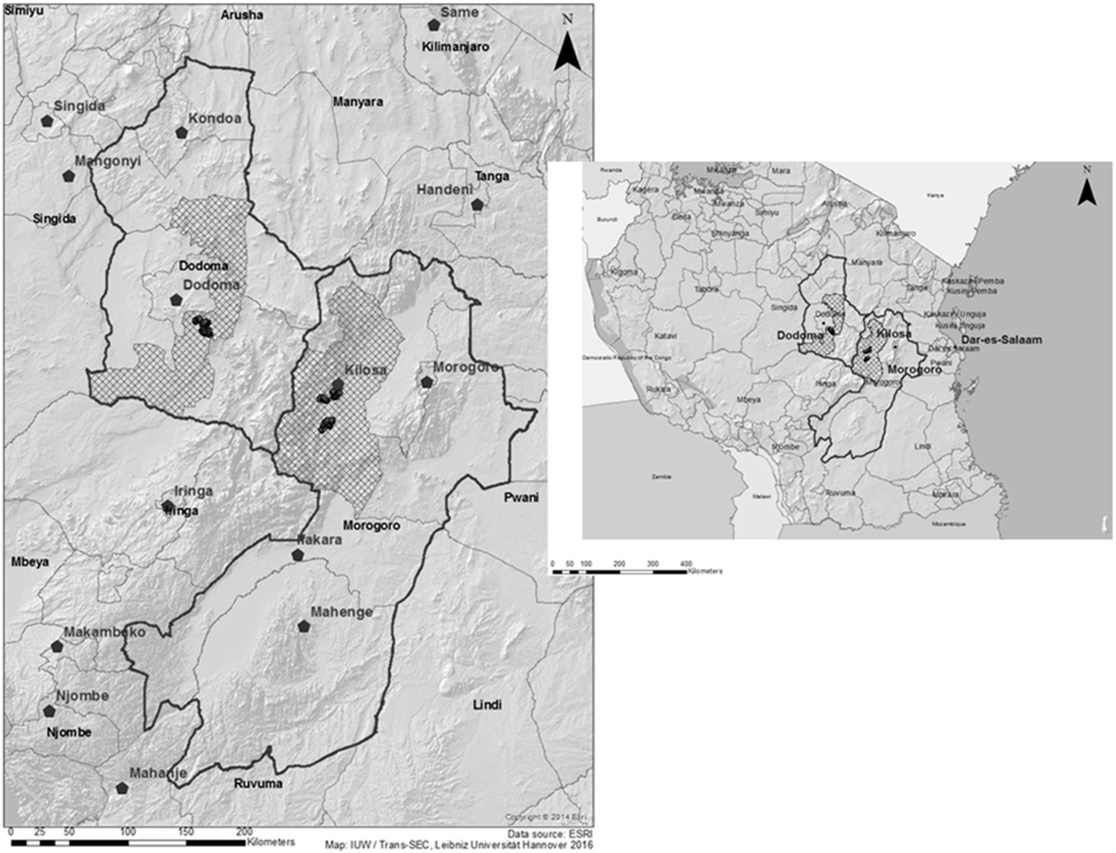 Horticulturae 06 00032 g001