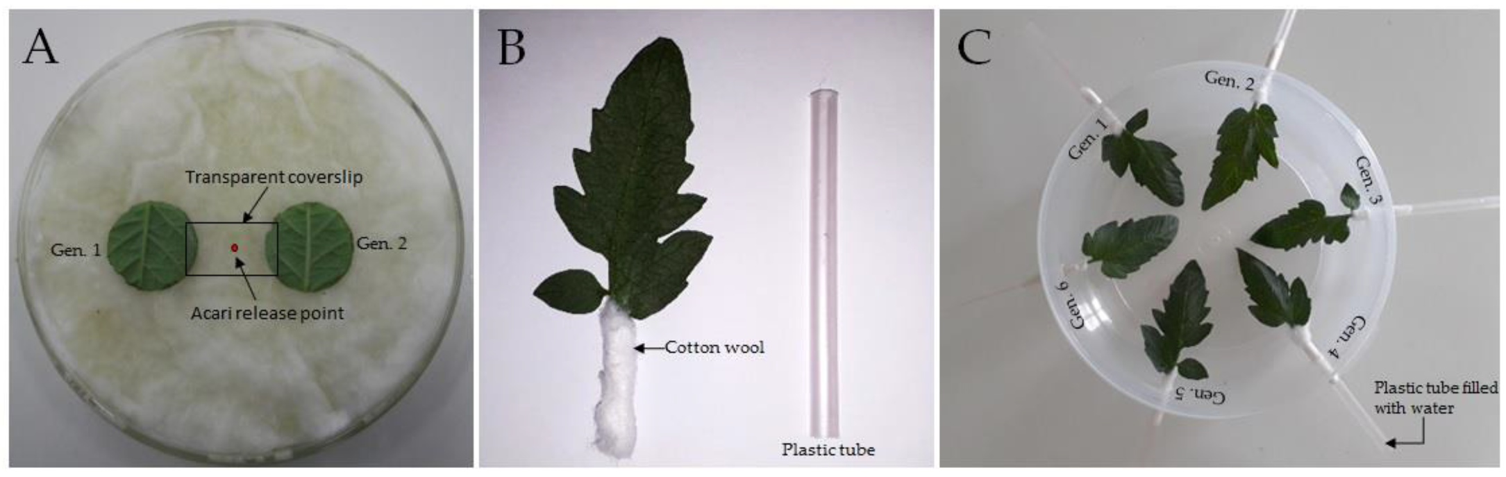 Horticulturae 06 00034 g001 Horticulturae 06 00034 g001