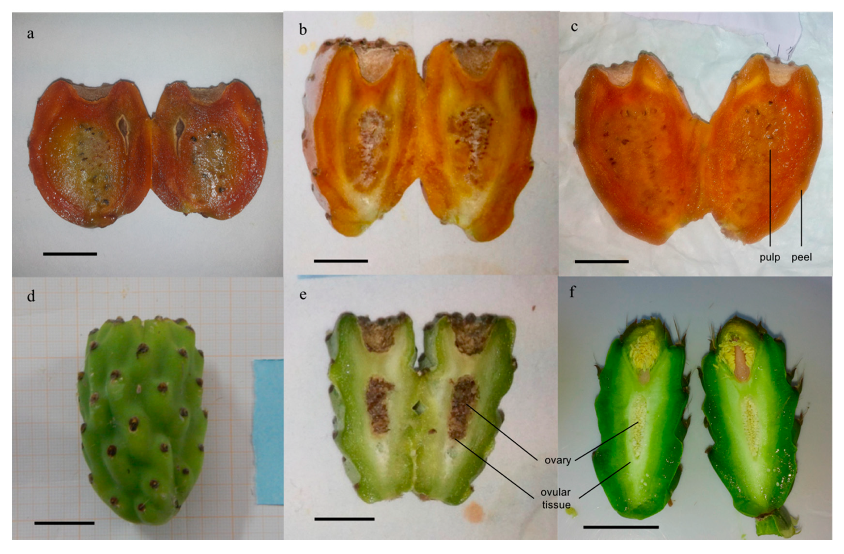 Horticulturae 06 00046 g001 Horticulturae 06 00046 g001