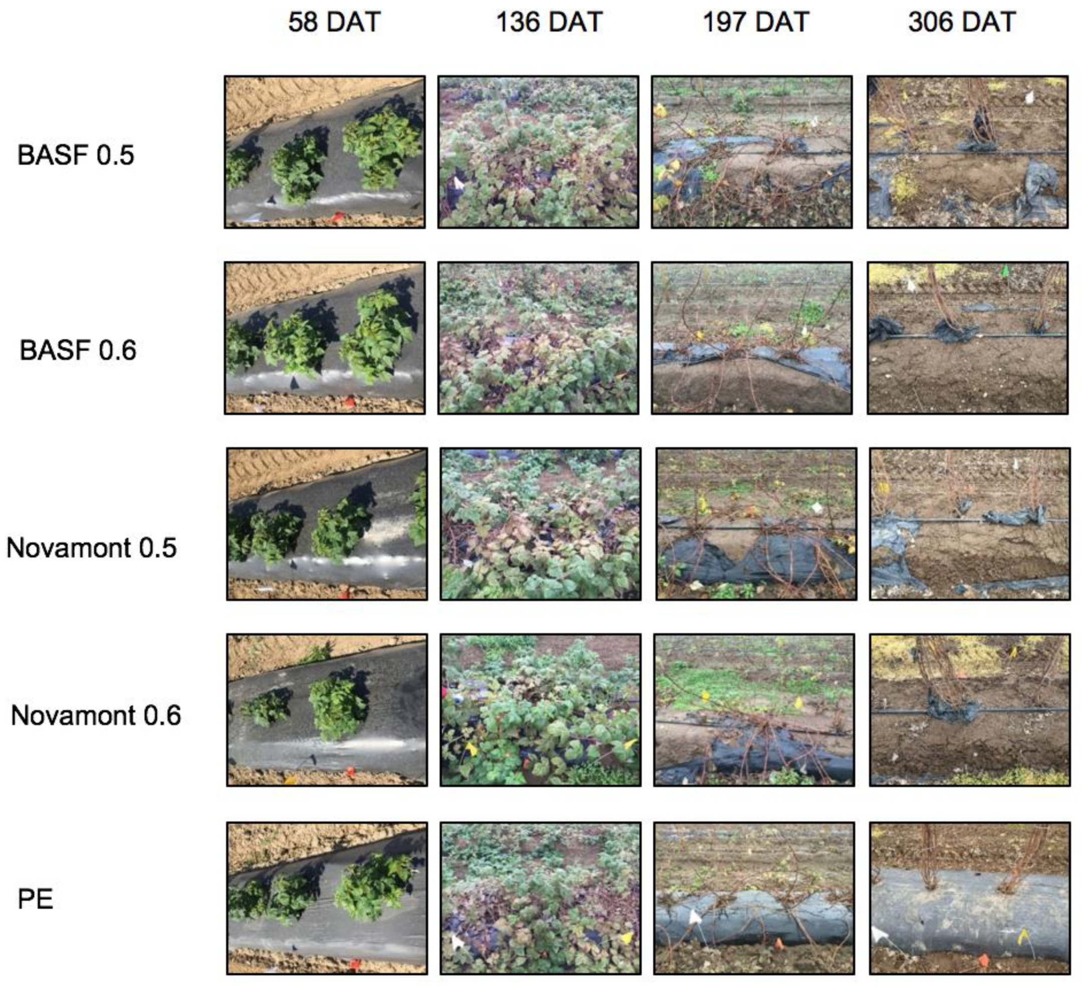 Horticulturae 06 00047 g003 Horticulturae 06 00047 g003