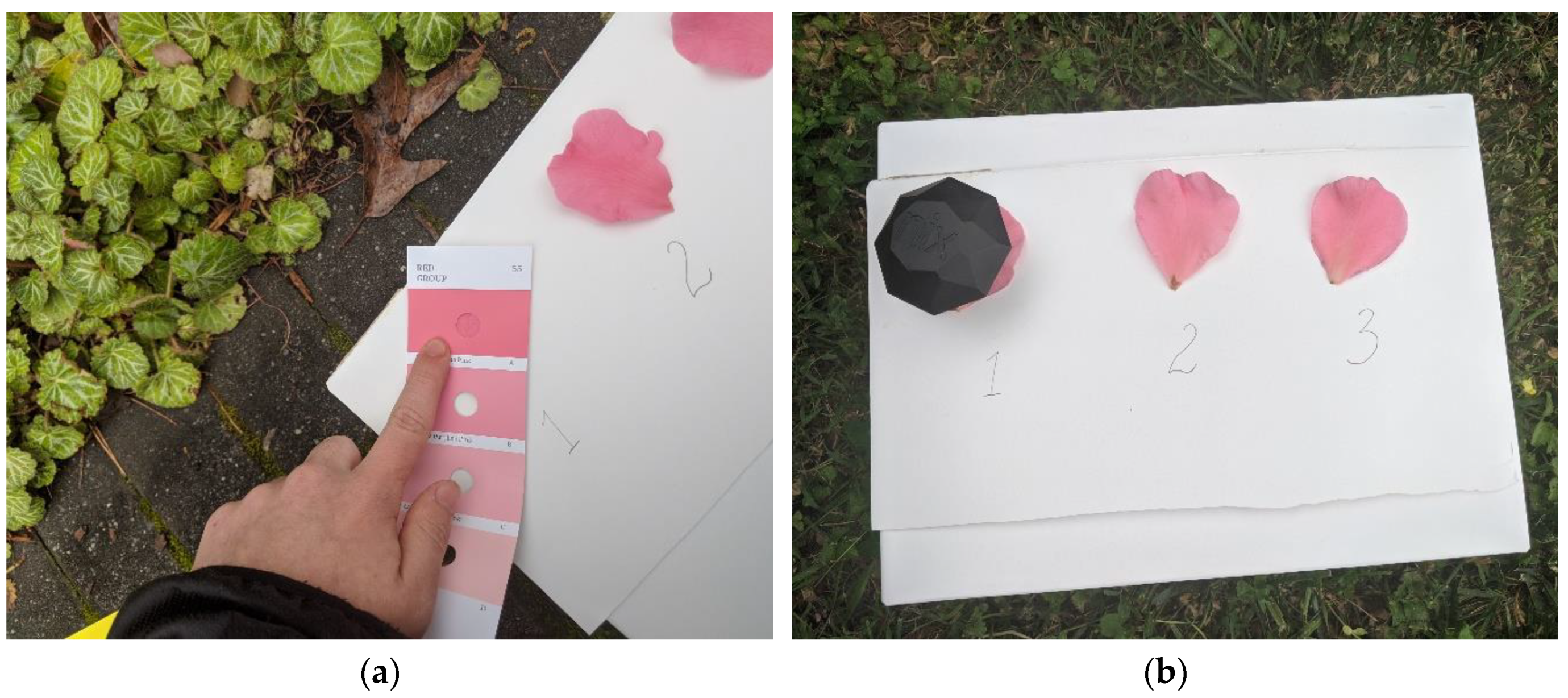 Horticulturae 06 00053 g003 Horticulturae 06 00053 g003