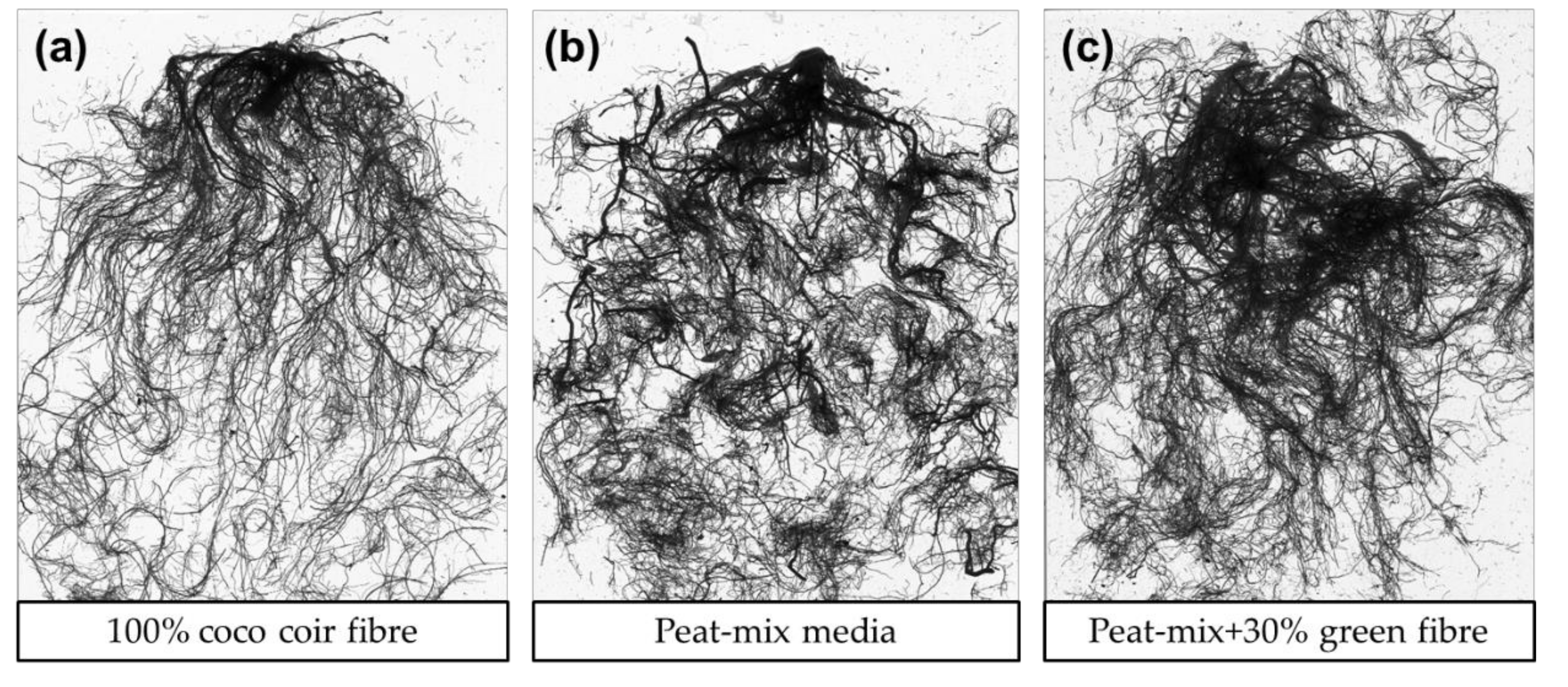 Horticulturae Free Full Text Impact Of Different Growing Substrates On Growth Yield And Cannabinoid Content Of Two Cannabis Sativa L Genotypes In A Pot Culture Html