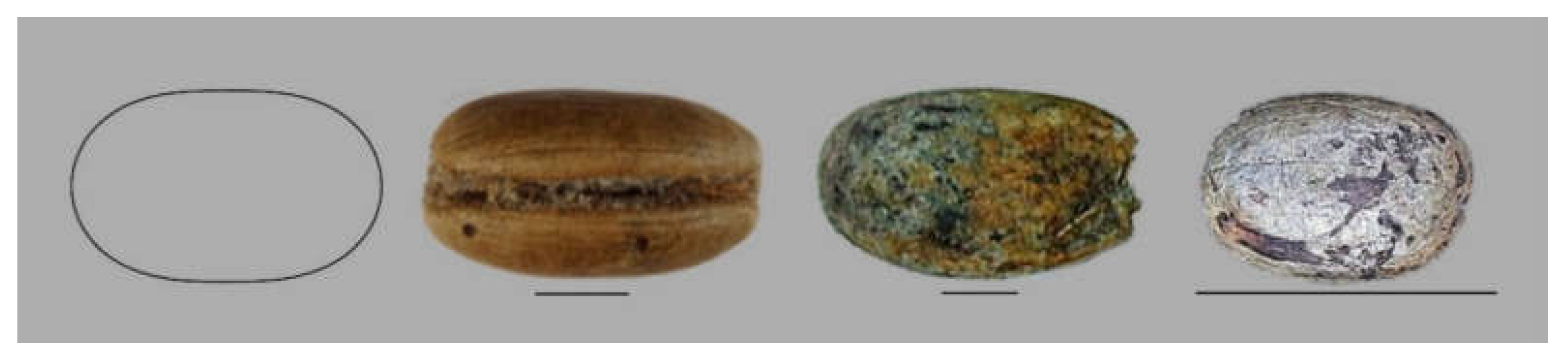 Horticulturae 06 00064 g007