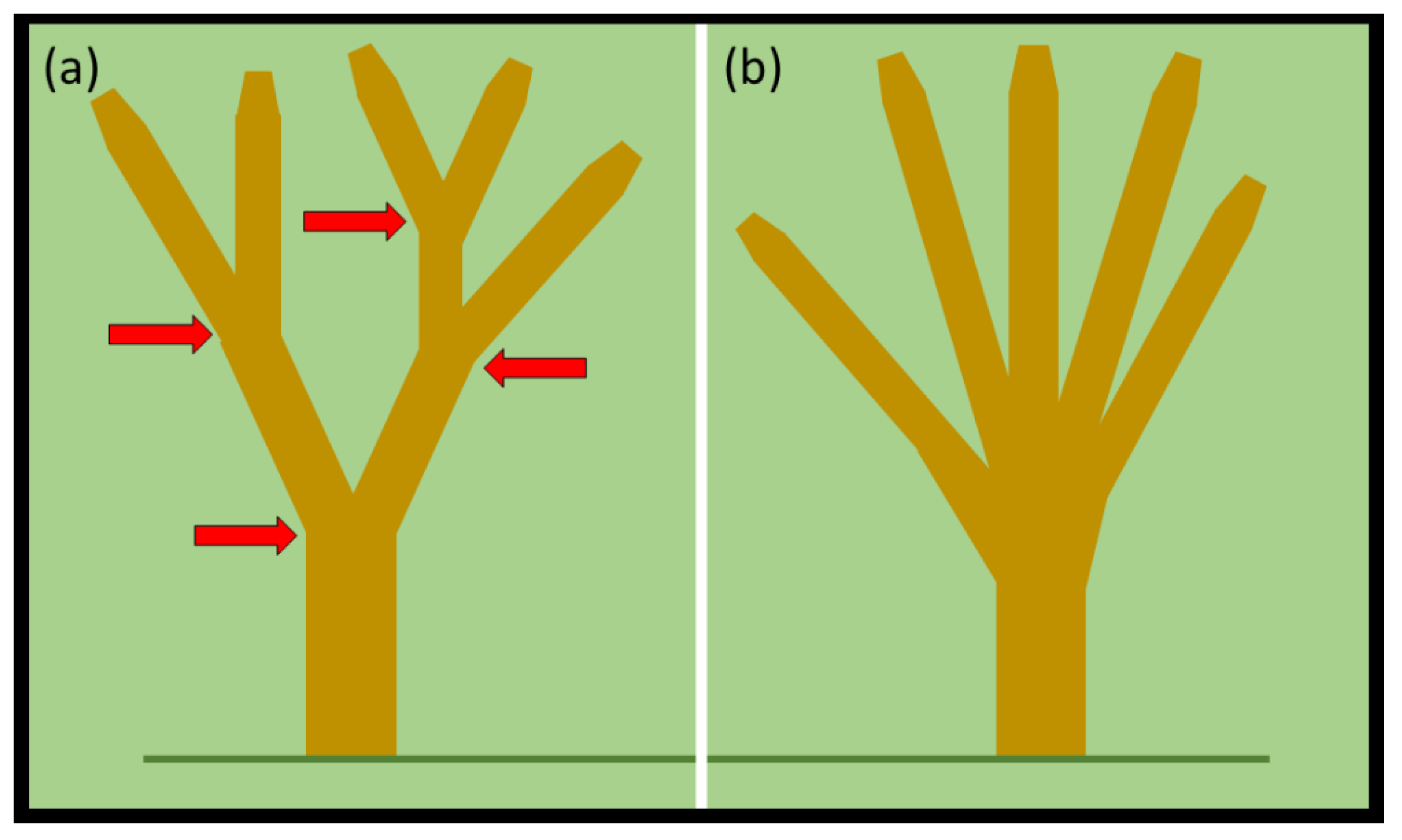 Horticulturae 06 00065 g006