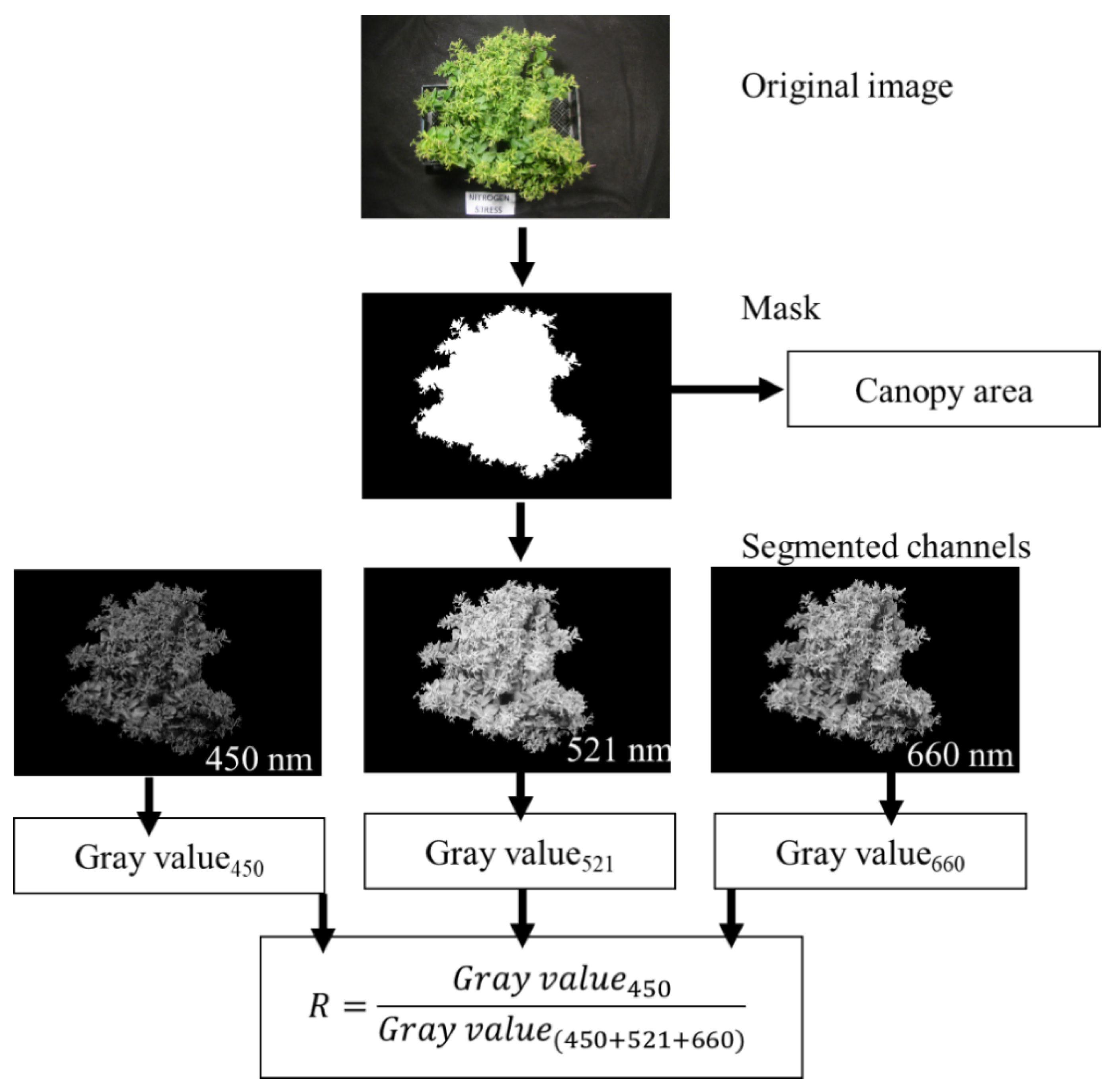 Horticulturae 06 00074 g001