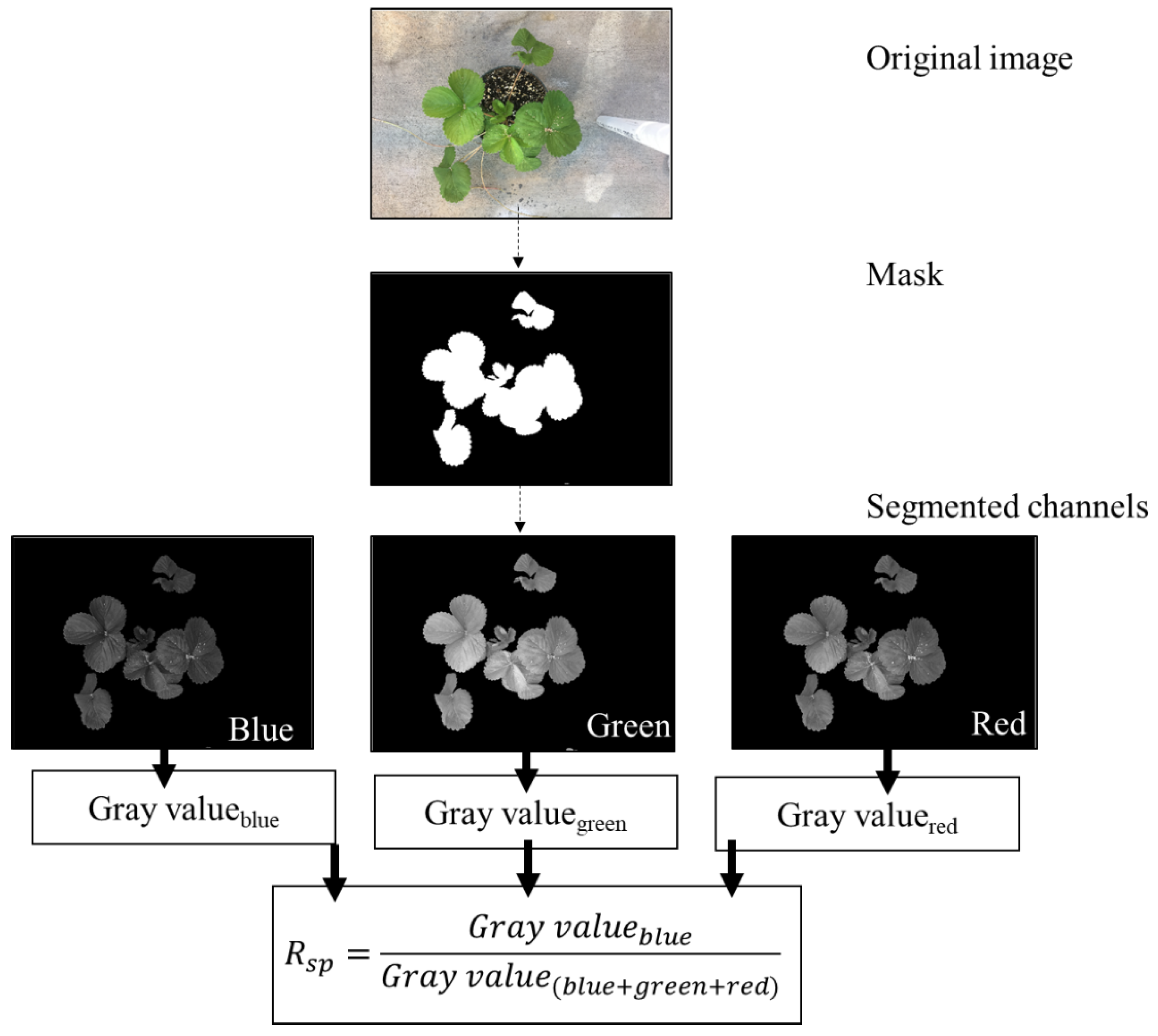 Horticulturae 06 00074 g002
