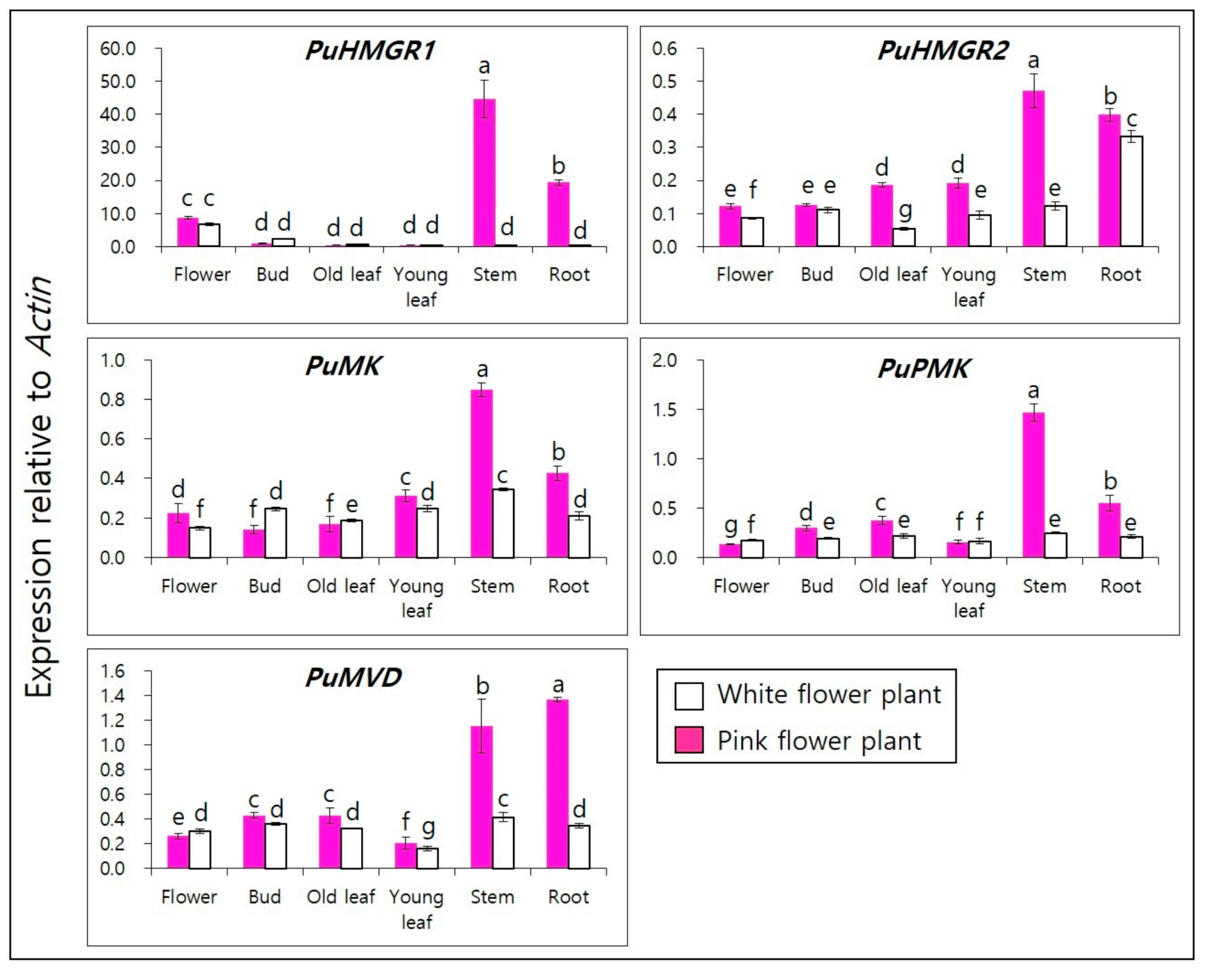 Horticulturae 06 00076 g002 Horticulturae 06 00076 g002