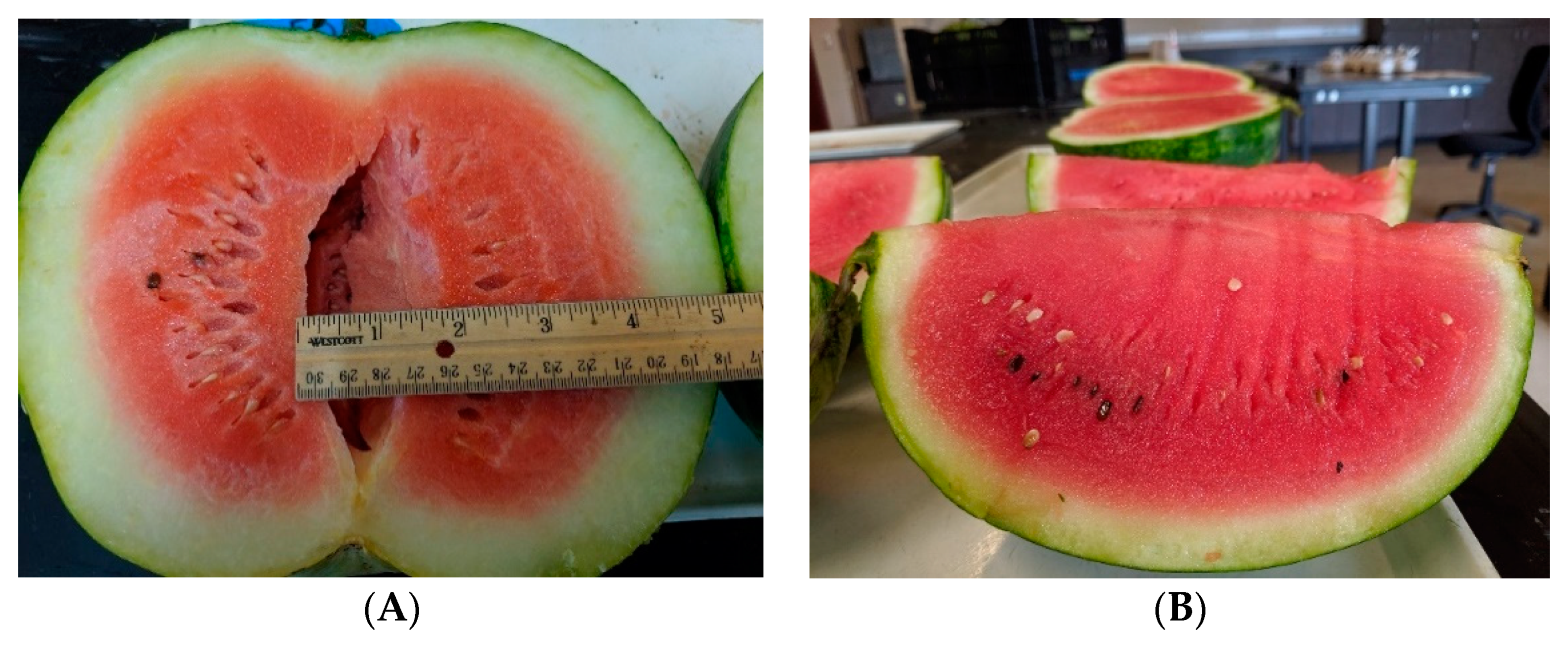 Horticulturae 06 00097 g001