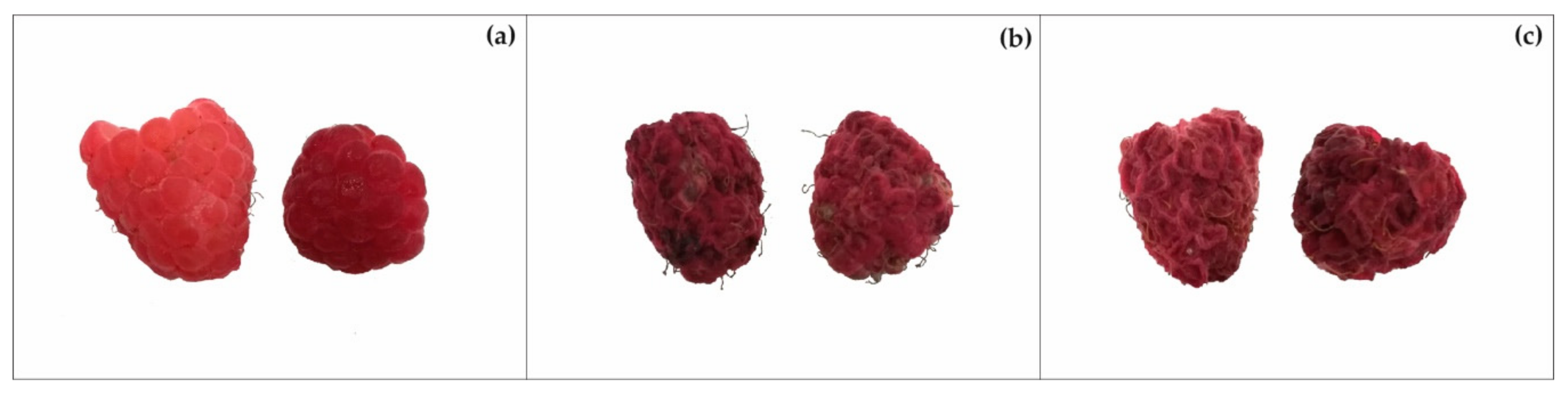 Horticulturae 06 00105 g002