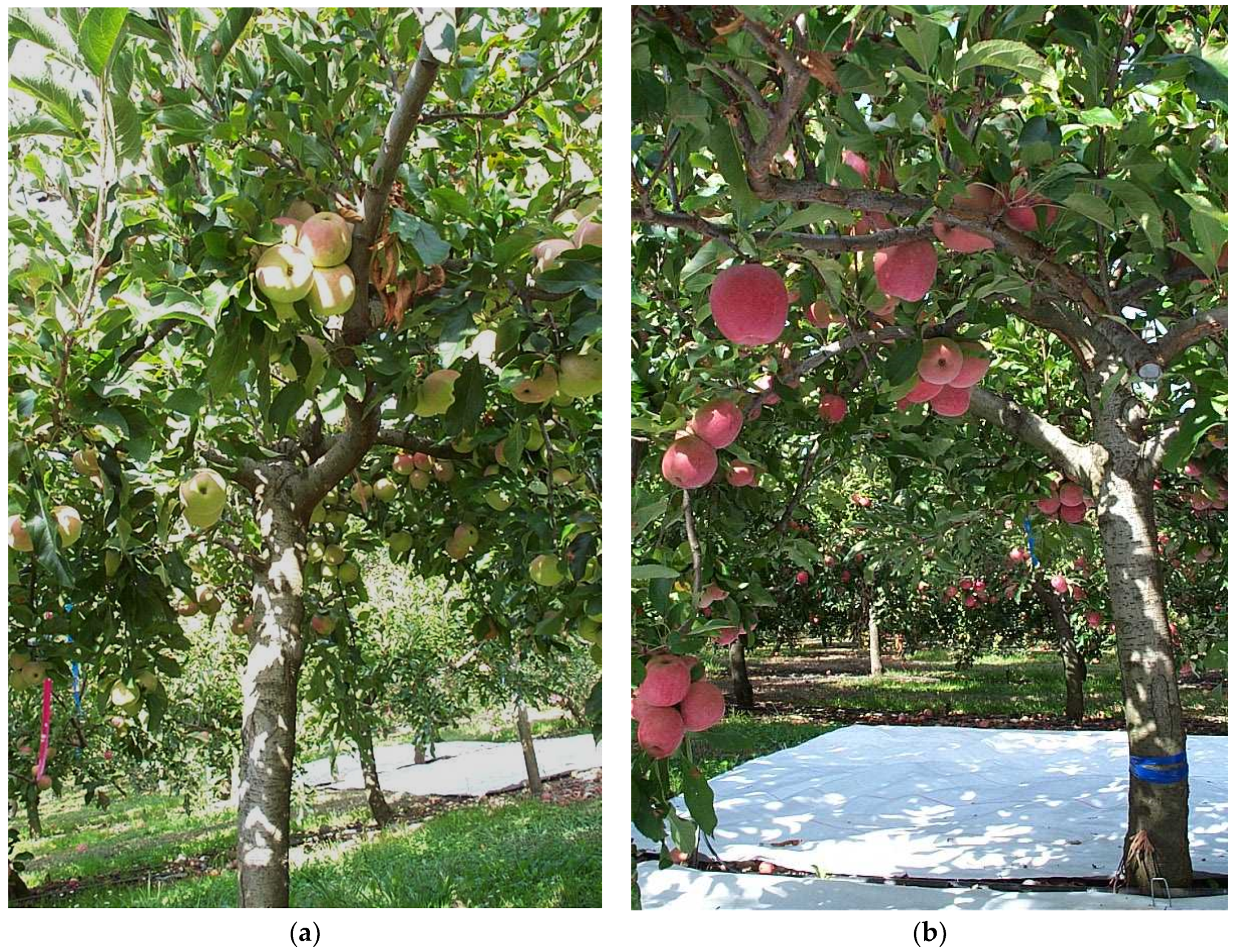 Horticulturae 07 00002 g001 Horticulturae 07 00002 g001