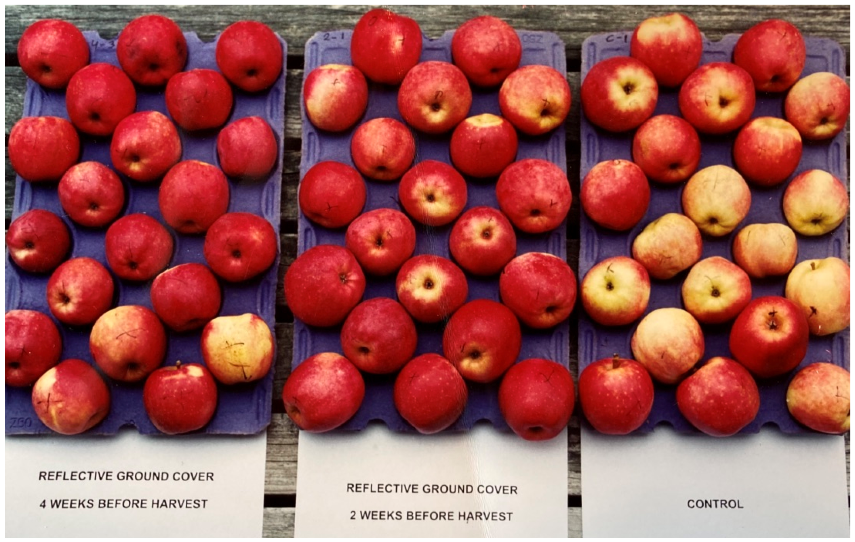 Horticulturae 07 00002 g013 Horticulturae 07 00002 g013