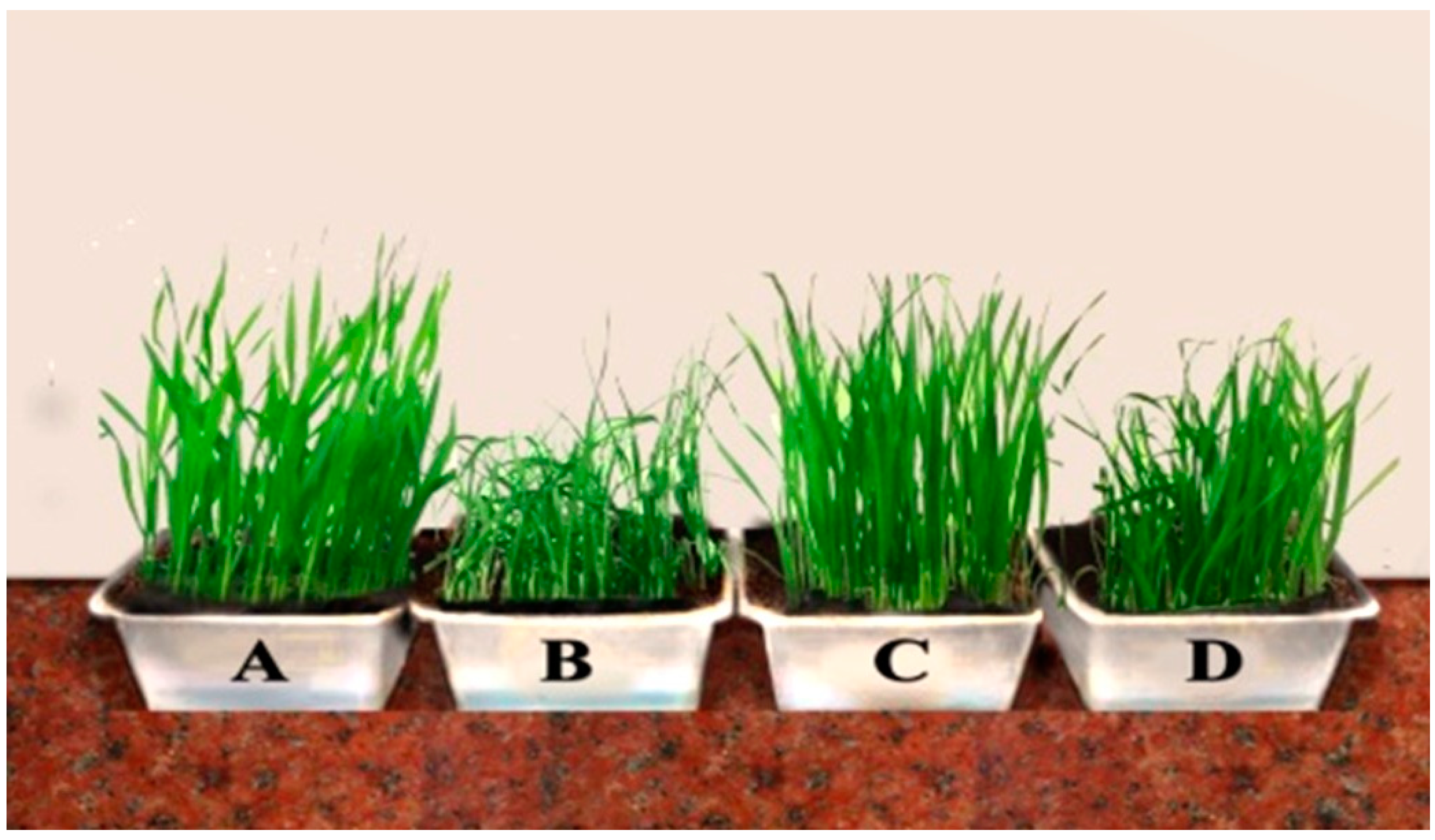 Horticulturae 07 00016 g001