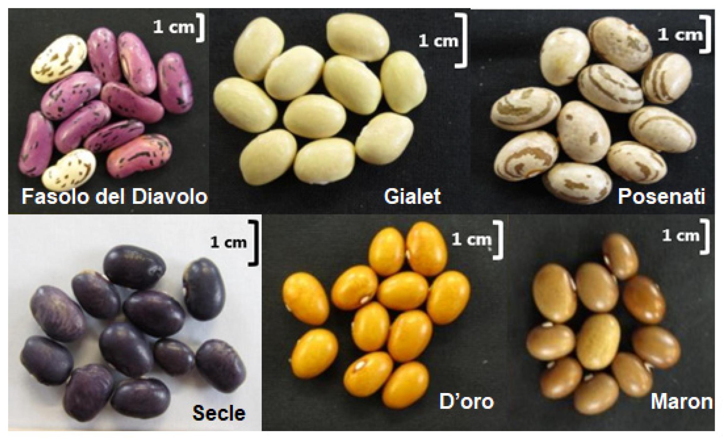 Horticulturae 07 00017 g001 Horticulturae 07 00017 g001
