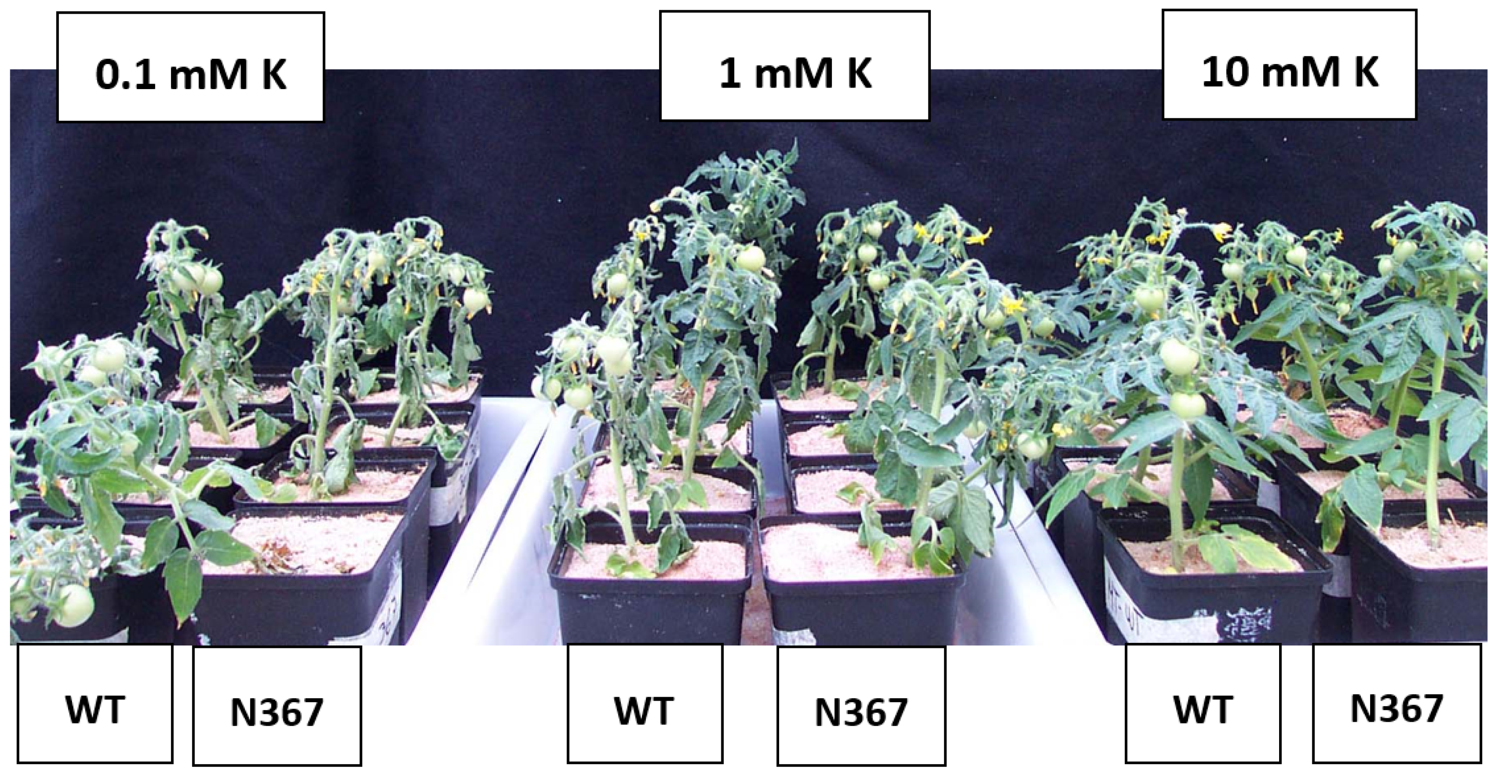 Horticulturae 07 00020 g001 Horticulturae 07 00020 g001