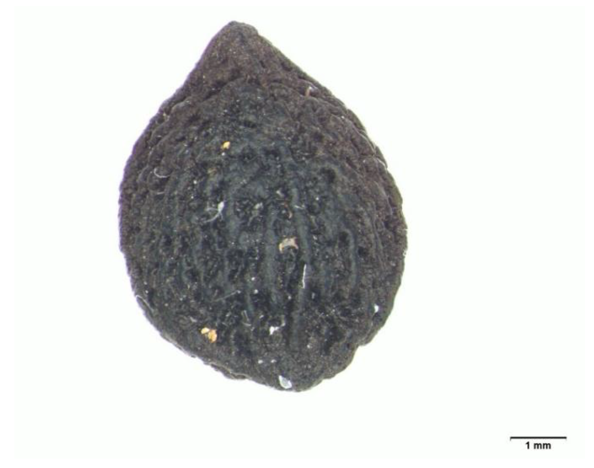 Horticulturae 07 00042 g001 Horticulturae 07 00042 g001