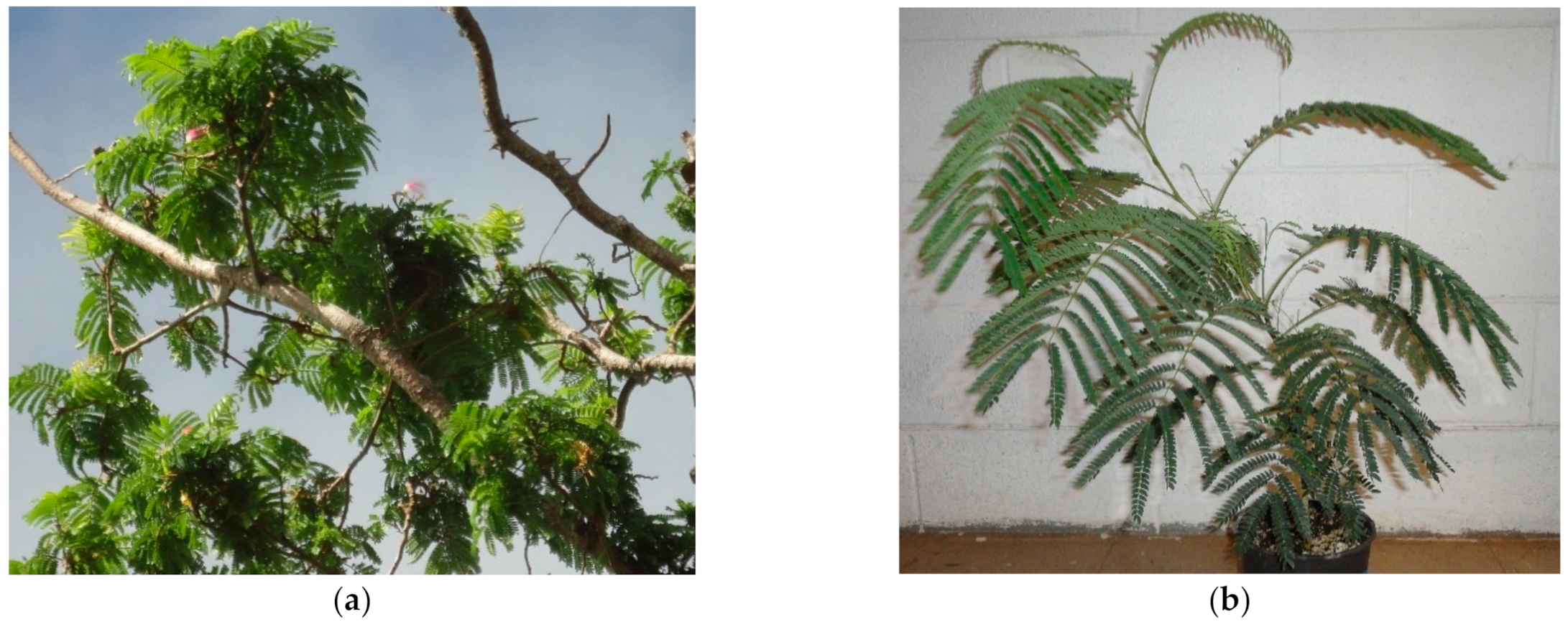 Horticulturae 07 00043 g001 Horticulturae 07 00043 g001