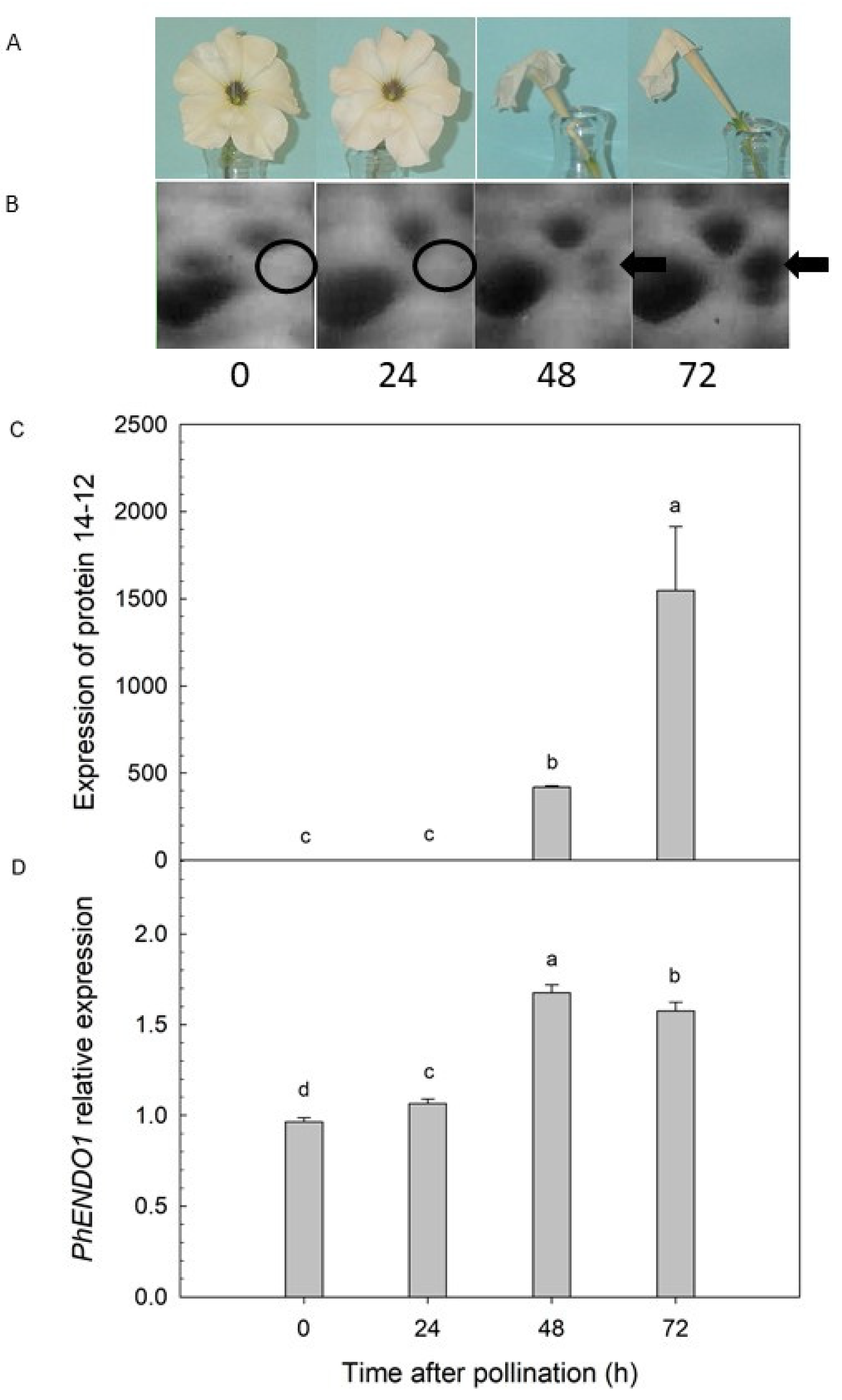 Horticulturae 07 00046 g001