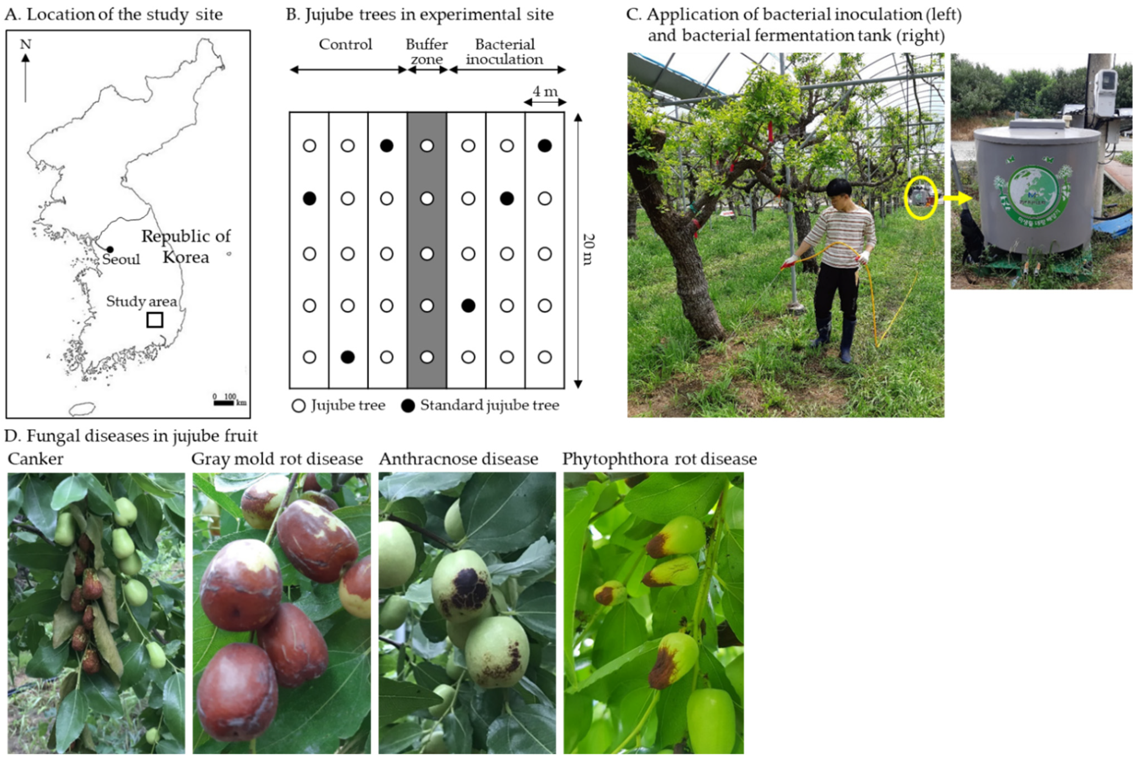 Horticulturae 07 00049 g001