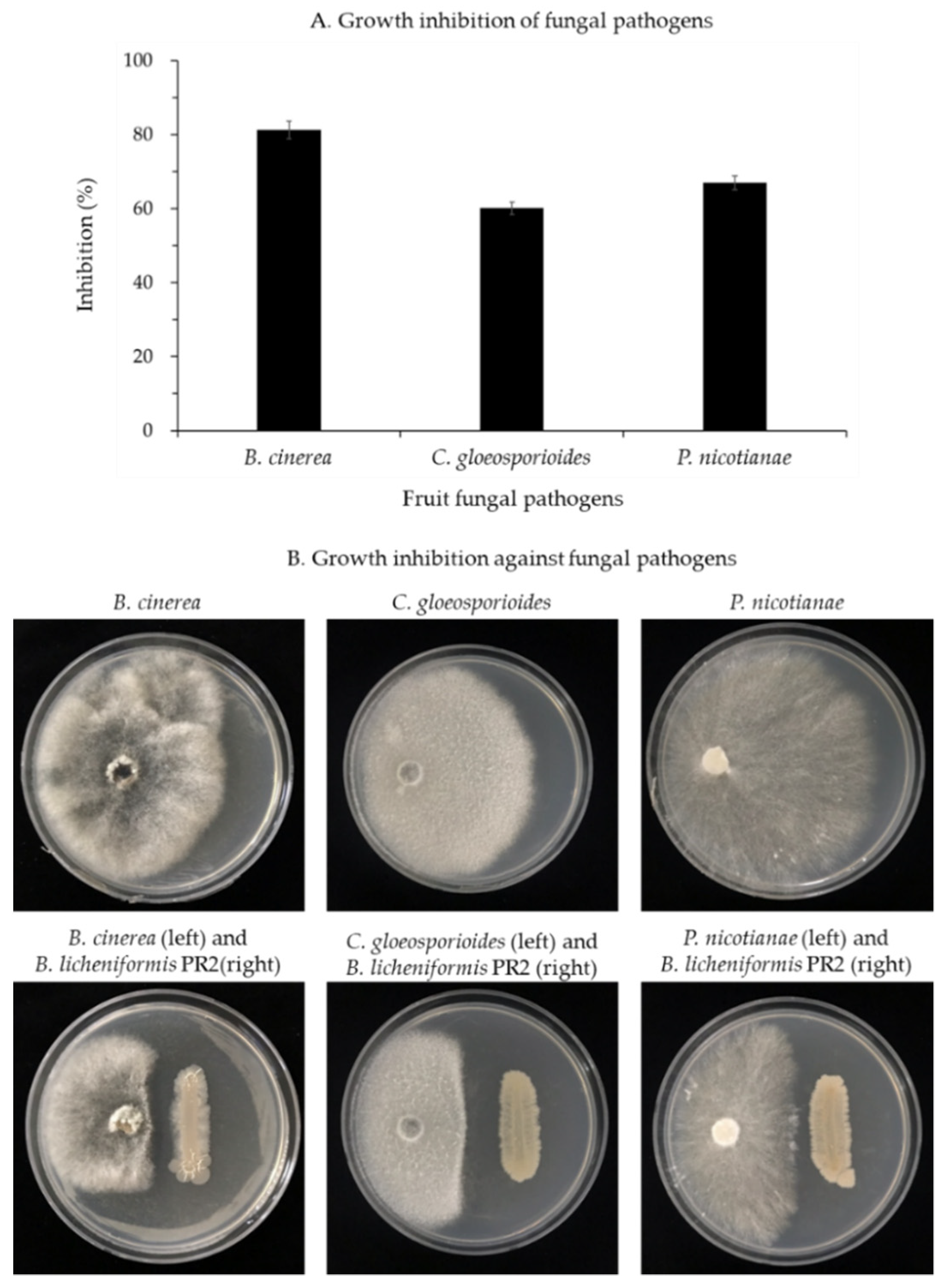 Horticulturae 07 00049 g003